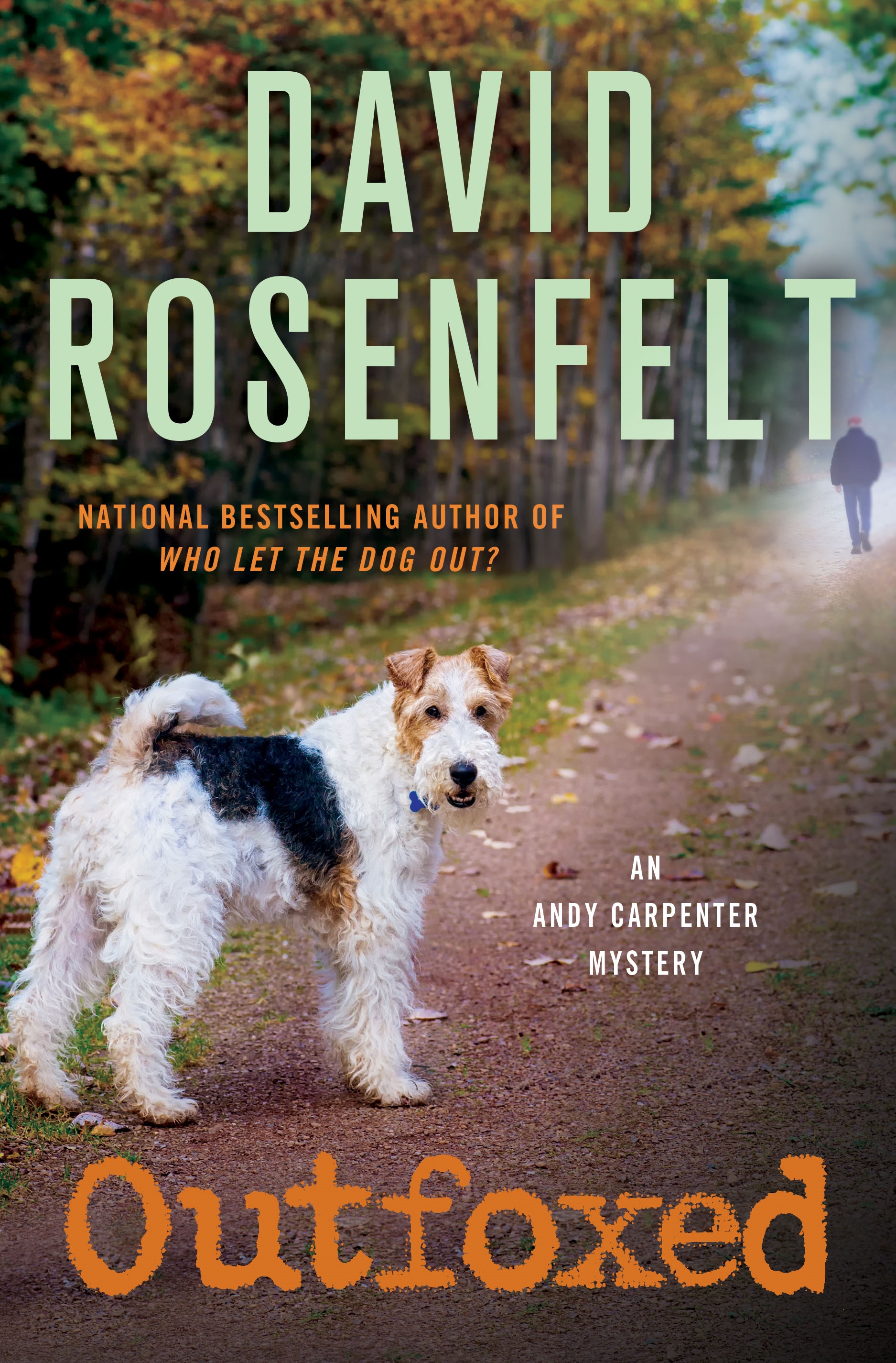 Imagen de portada para Outfoxed [electronic resource] : An Andy Carpenter Mystery