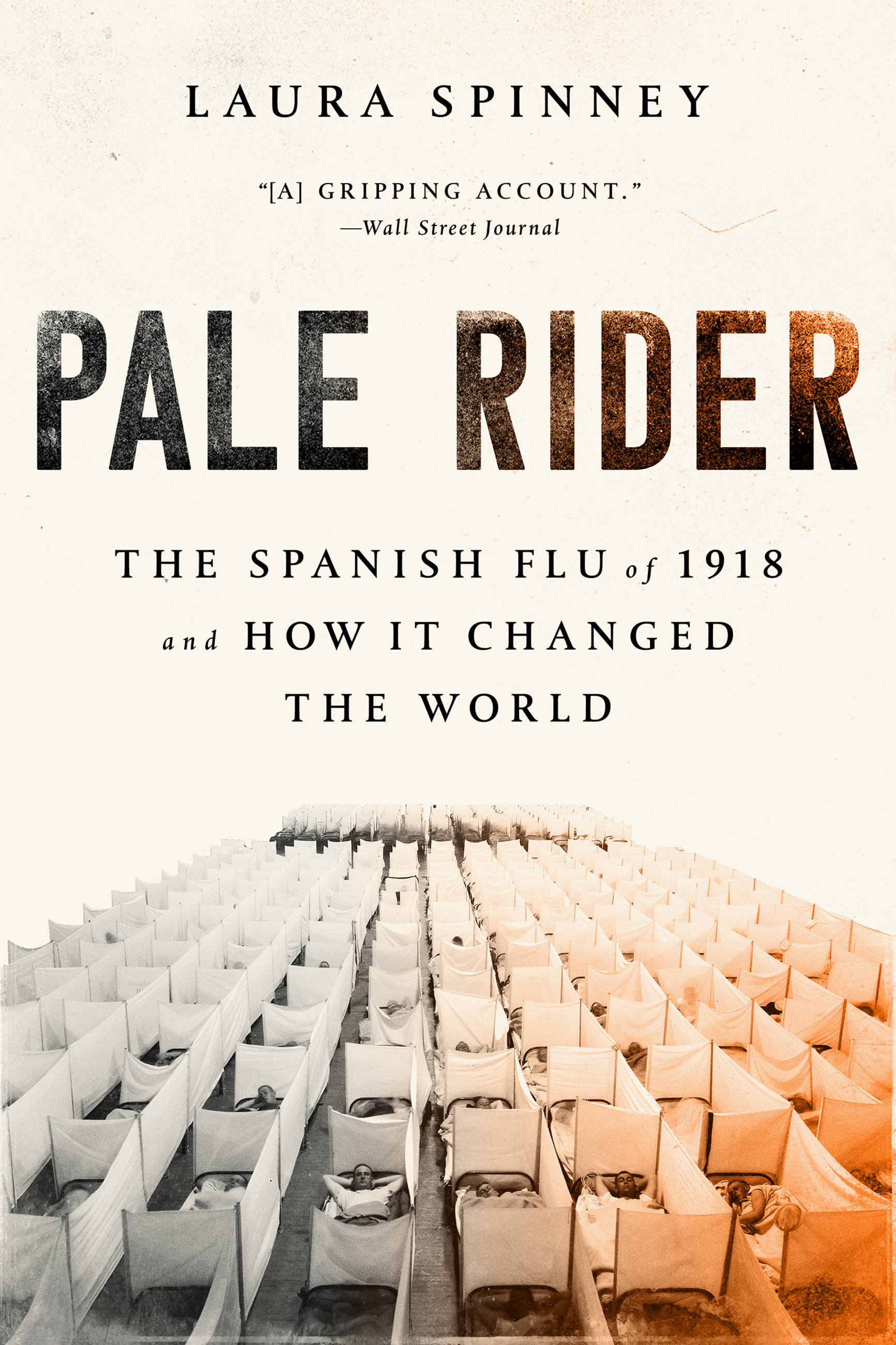 Link to Pale rider by Laura Spinney in the catalog