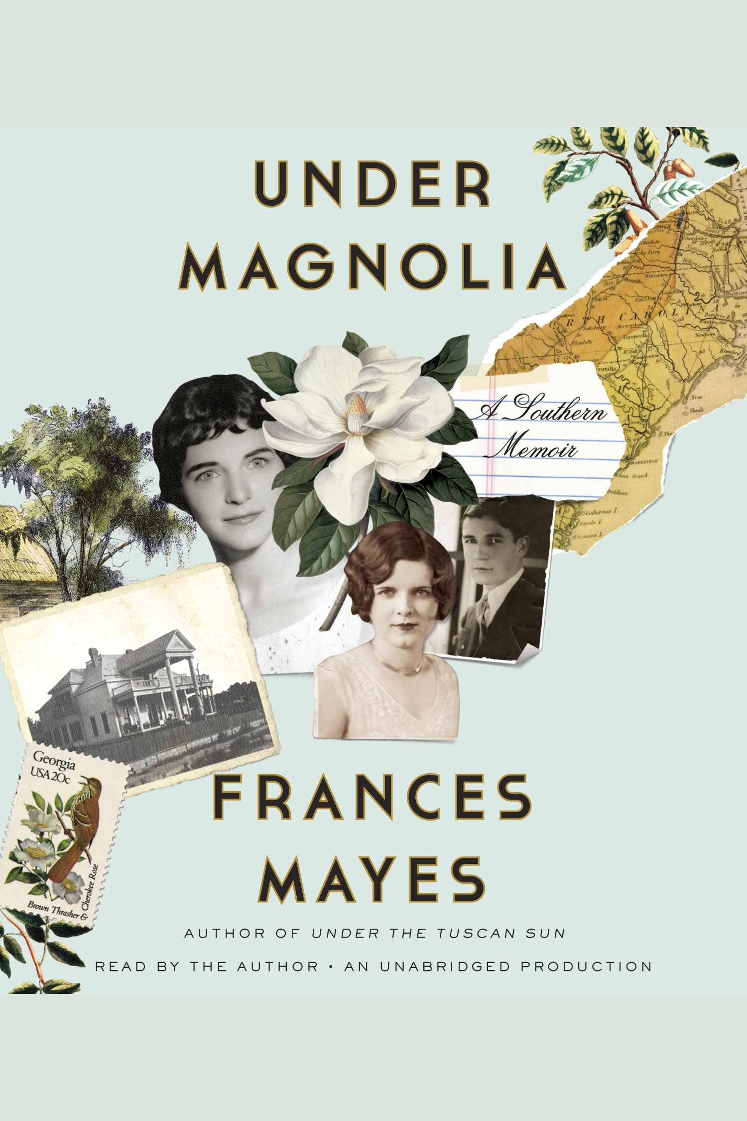 Cover image for Under Magnolia [electronic resource] : A Southern Memoir