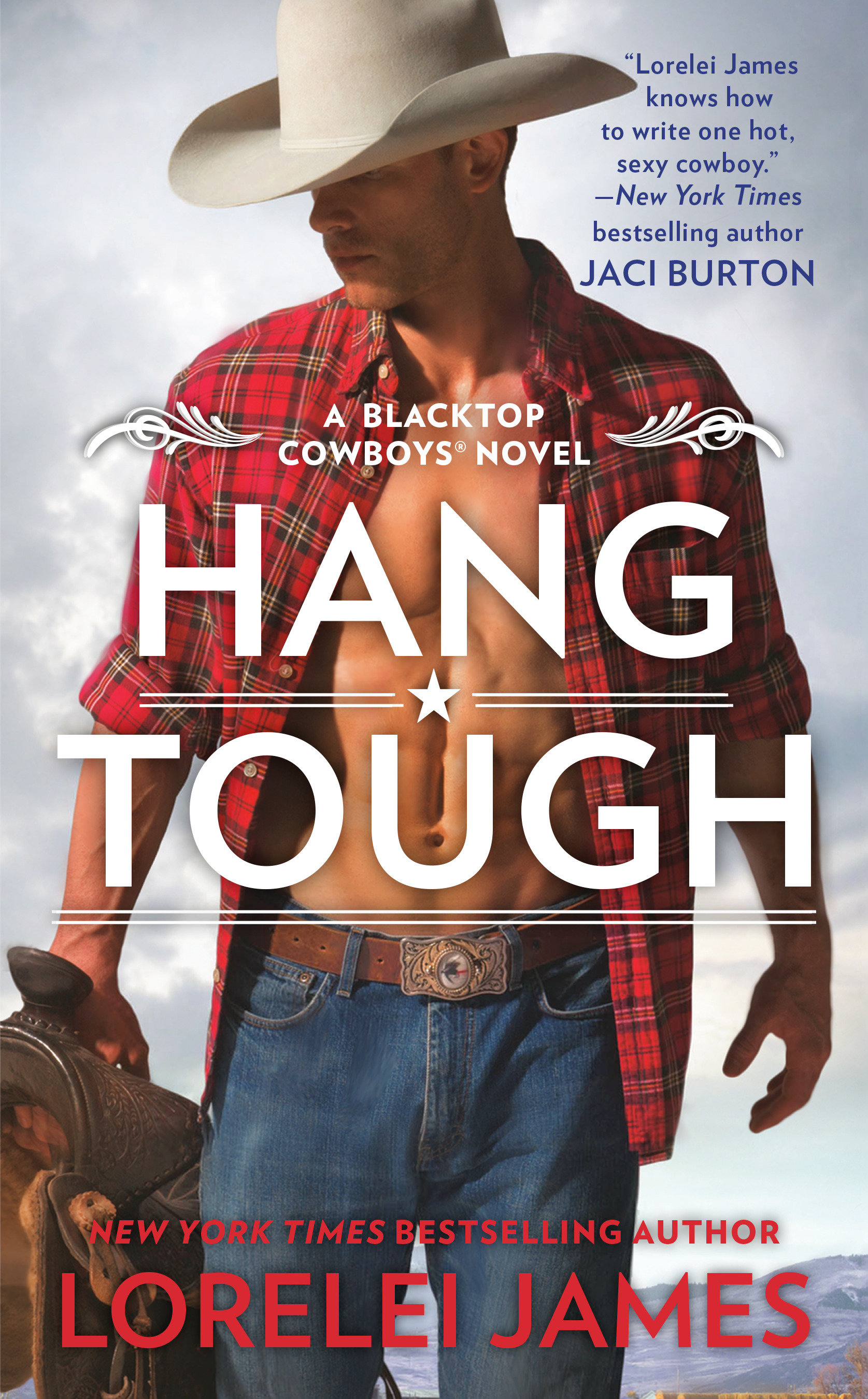 Cover image for Hang Tough [electronic resource] :