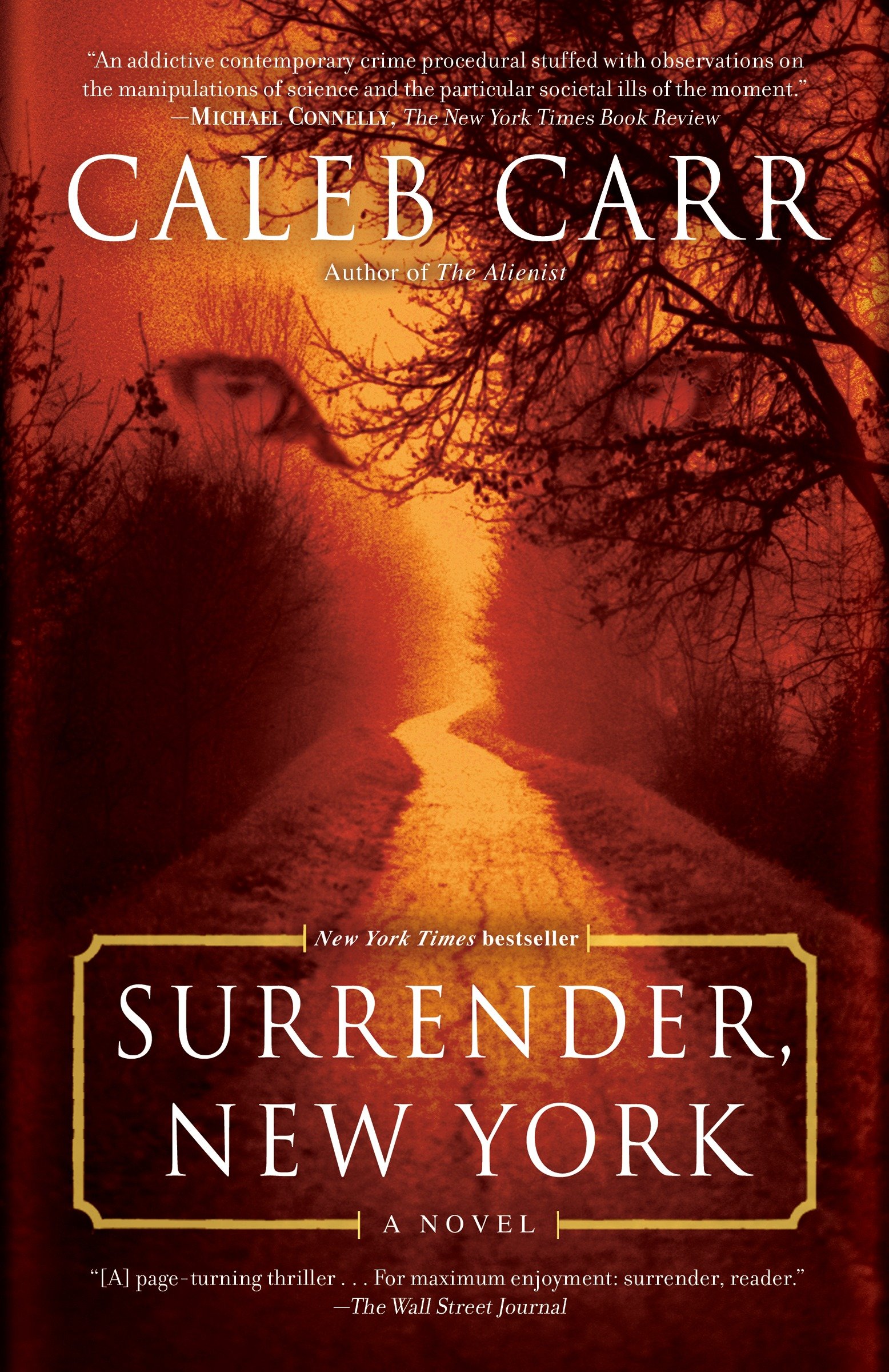 Cover image for Surrender, New York [electronic resource] : A Novel
