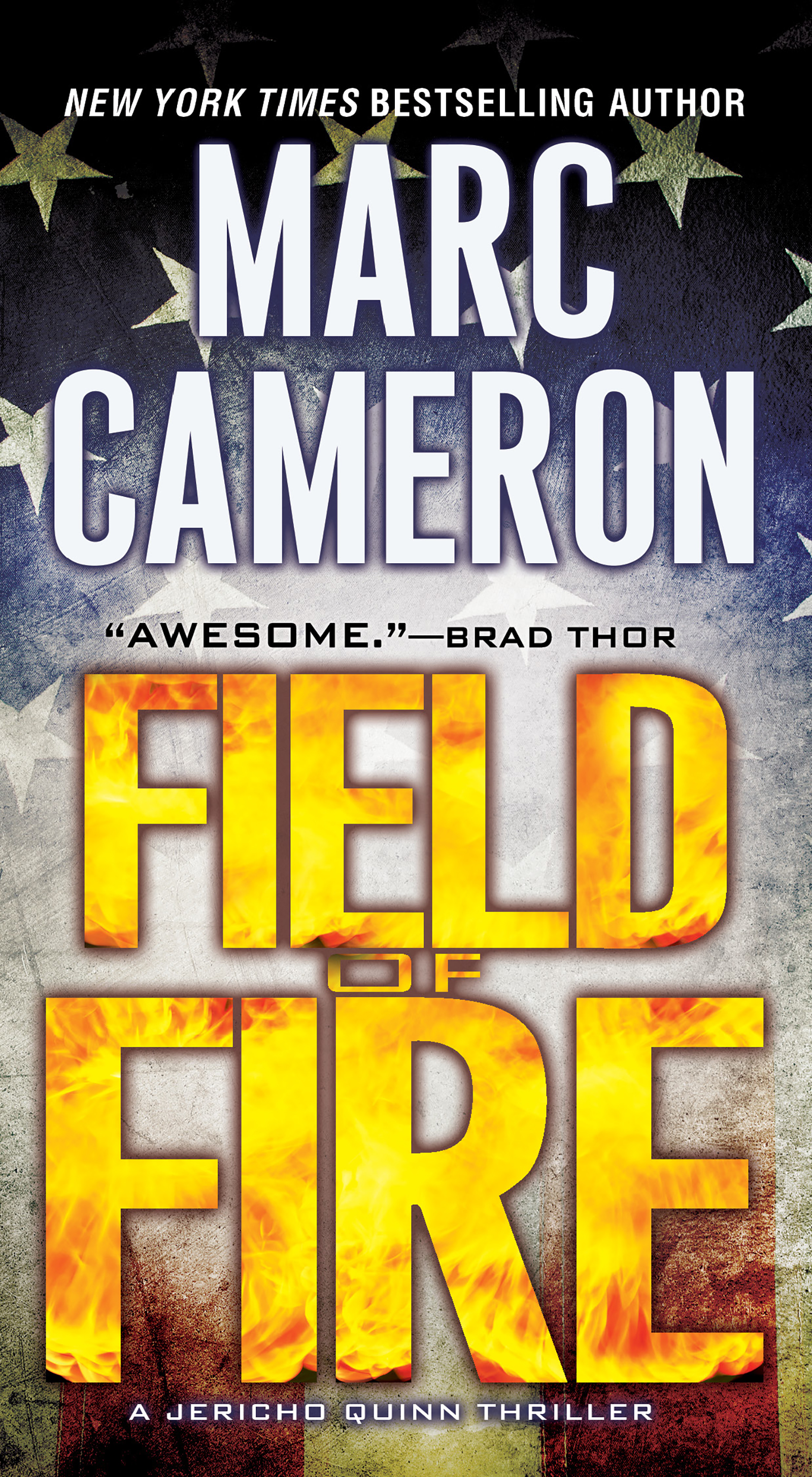 Cover image for Field of Fire [electronic resource] :