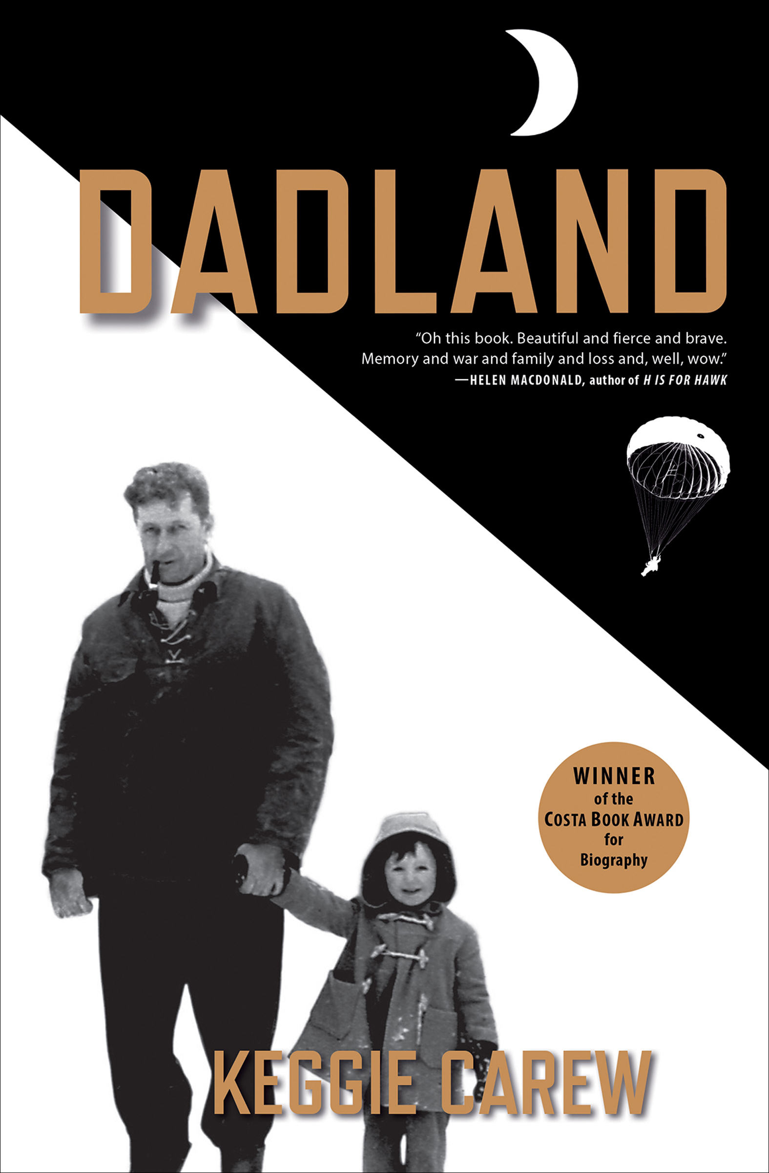 Cover image for Dadland [electronic resource] :