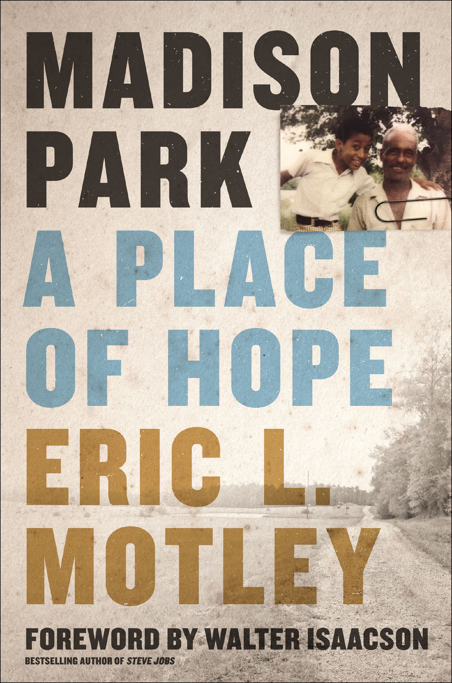 Cover image for Madison Park [electronic resource] : A Place of Hope
