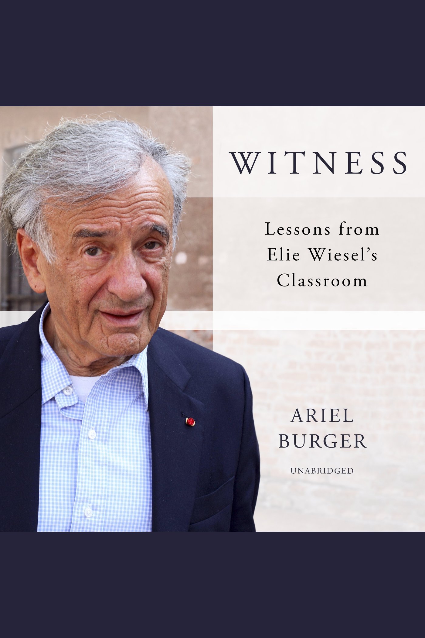 Cover image for Witness [electronic resource] : Lessons from Elie Wiesel's Classroom