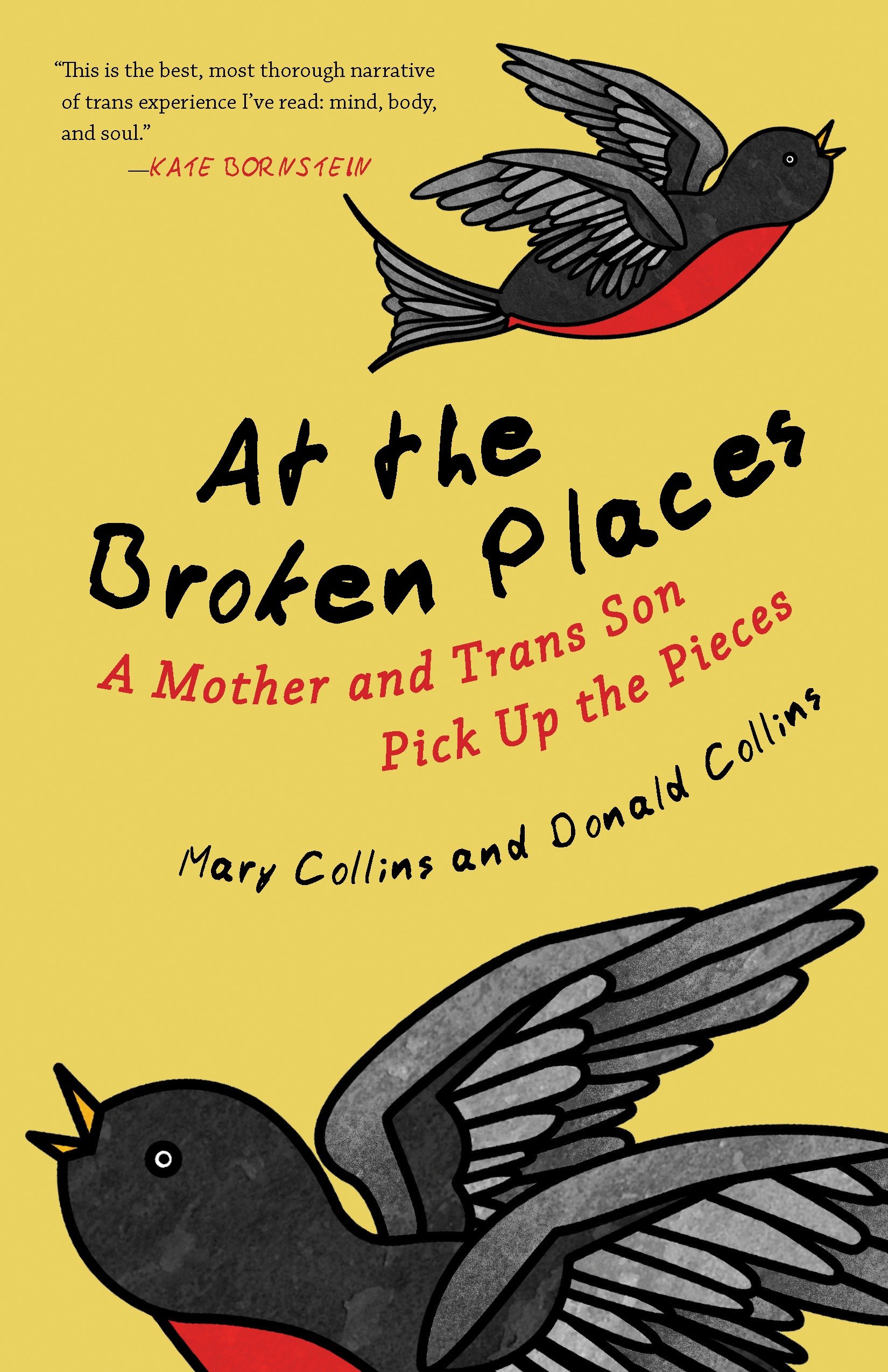 At the broken places a mother and trans son pick up the pieces cover image