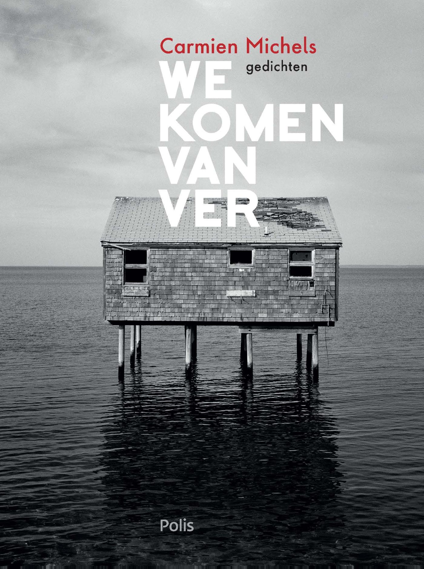 Cover van We komen van ver : gedichten