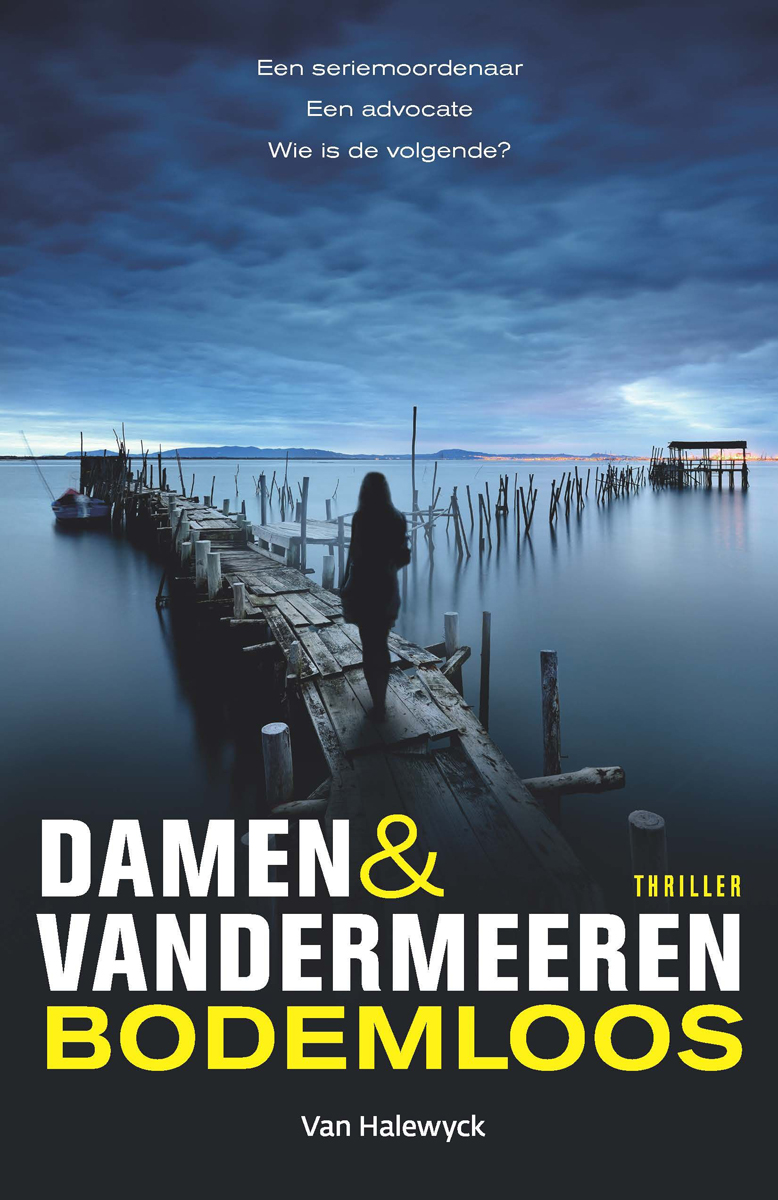 Cover van Bodemloos : thriller