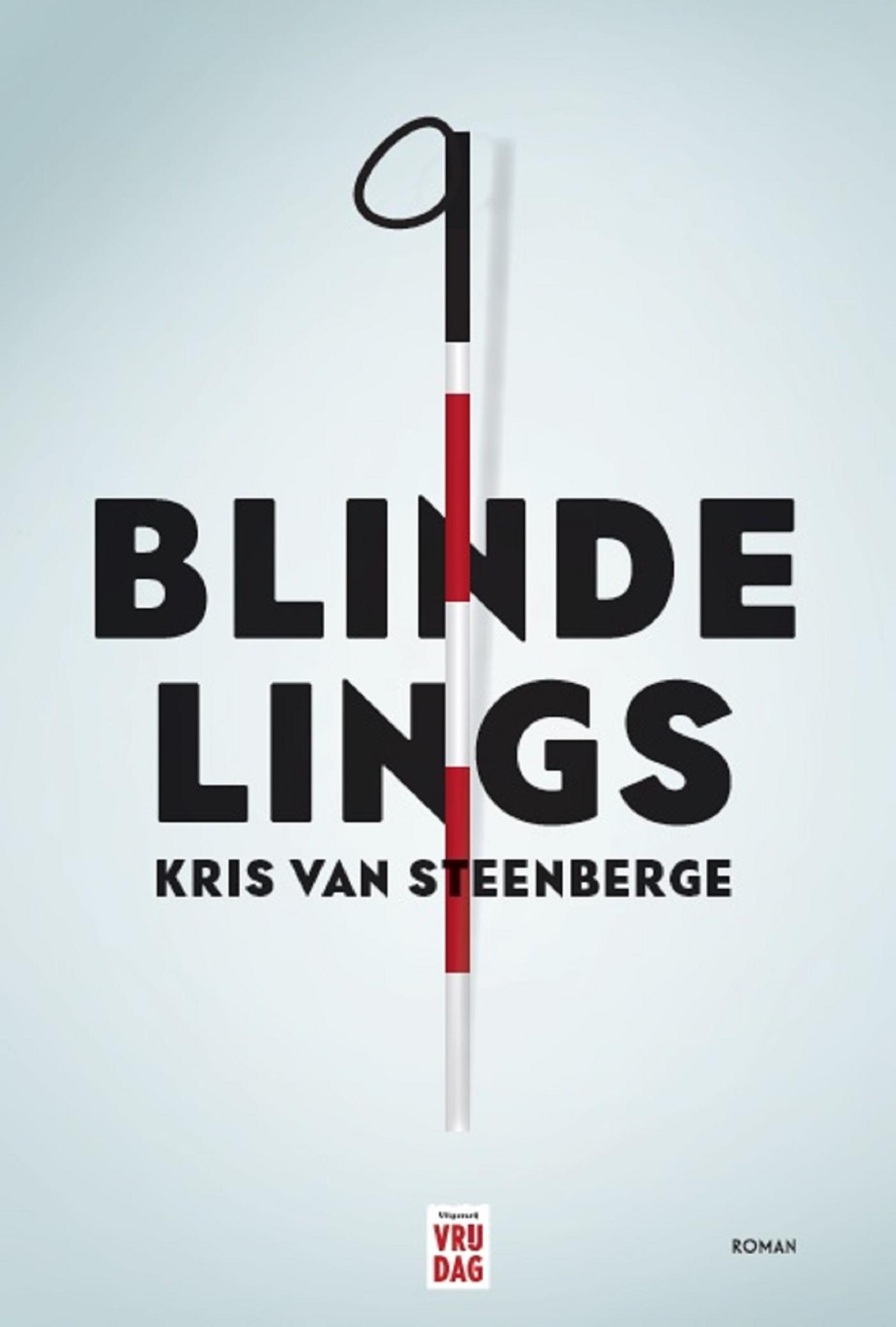 Cover van Blindelings : roman