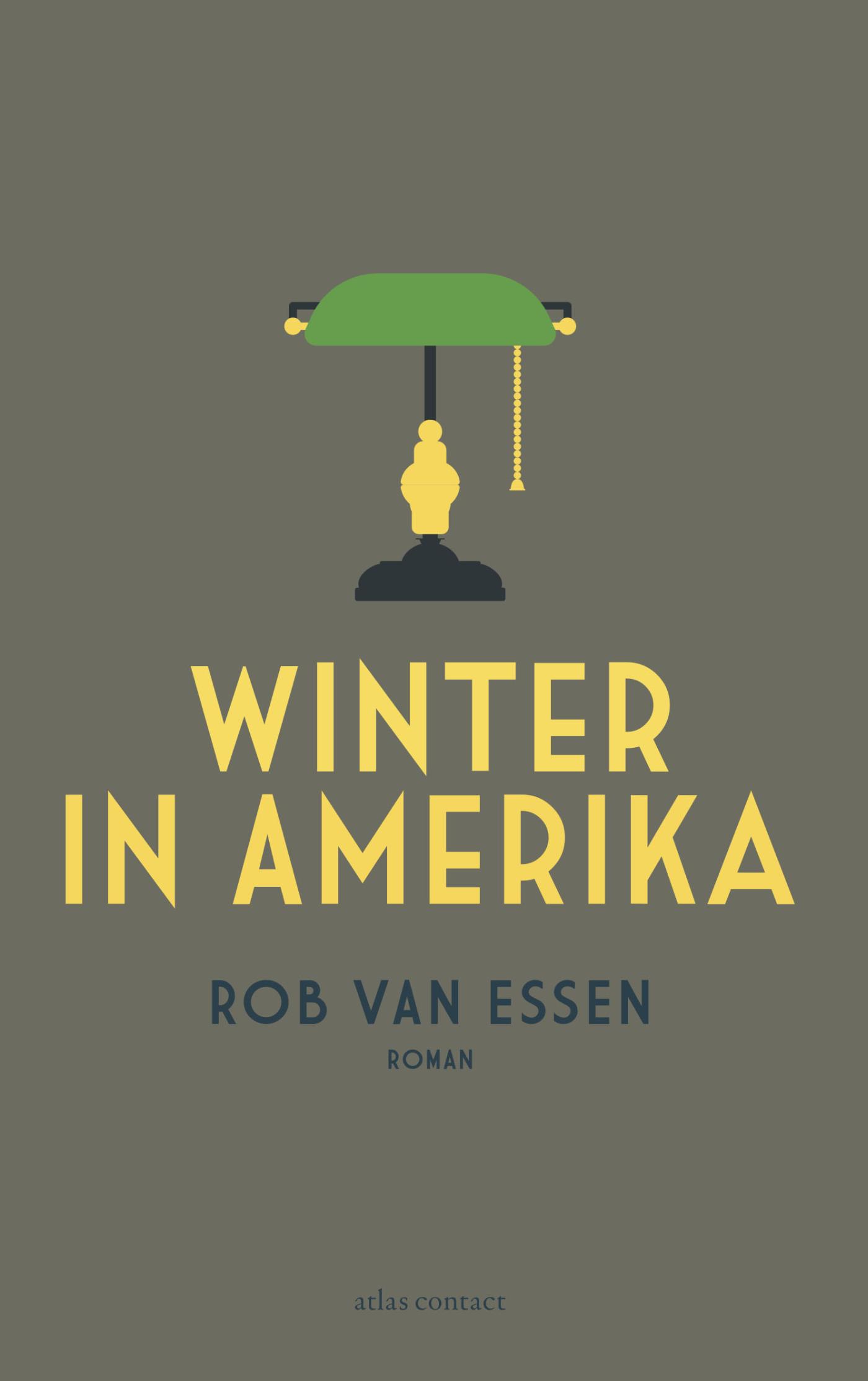 Cover van Winter in Amerika : roman