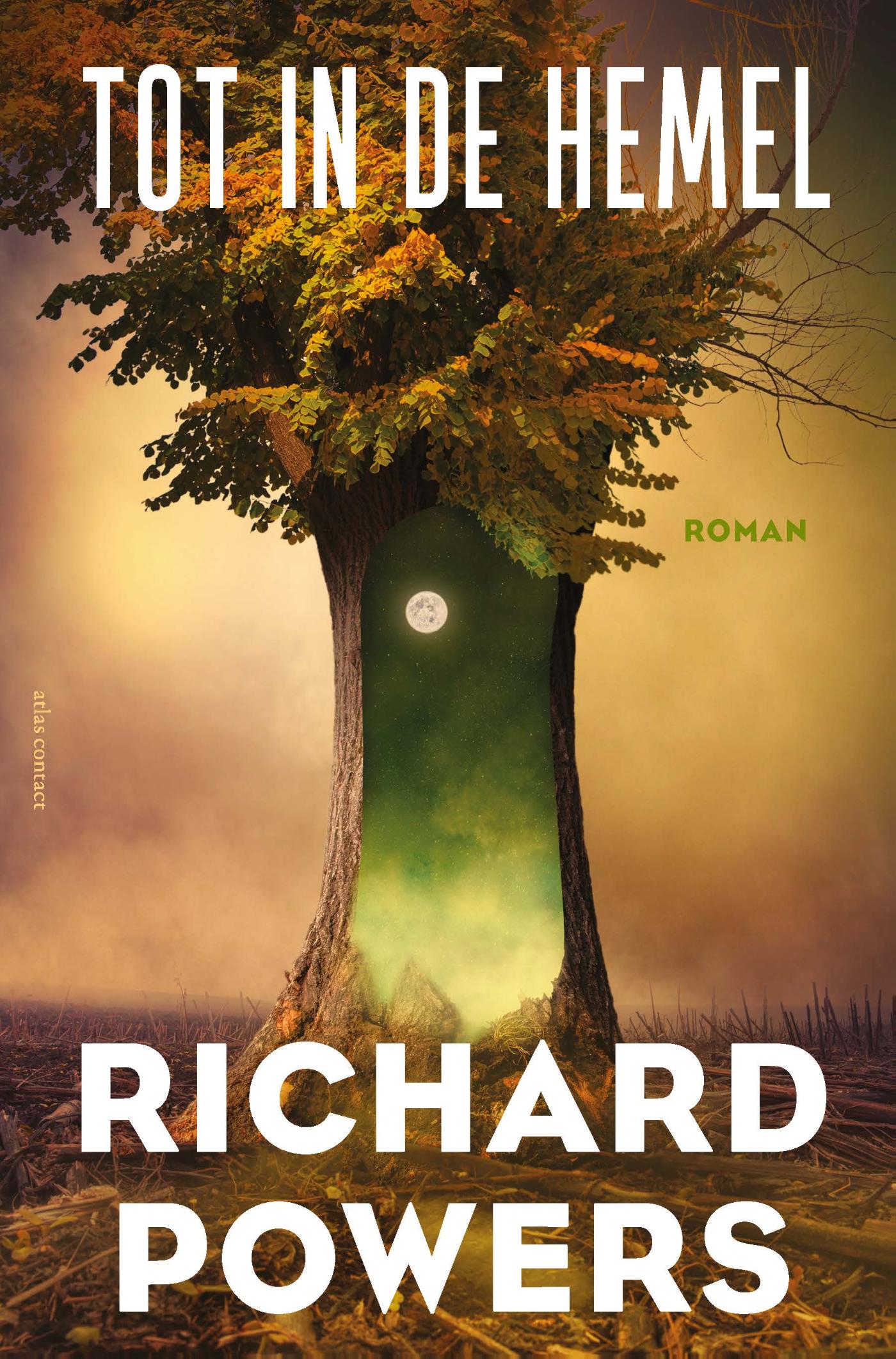 Cover van Tot in de hemel : roman