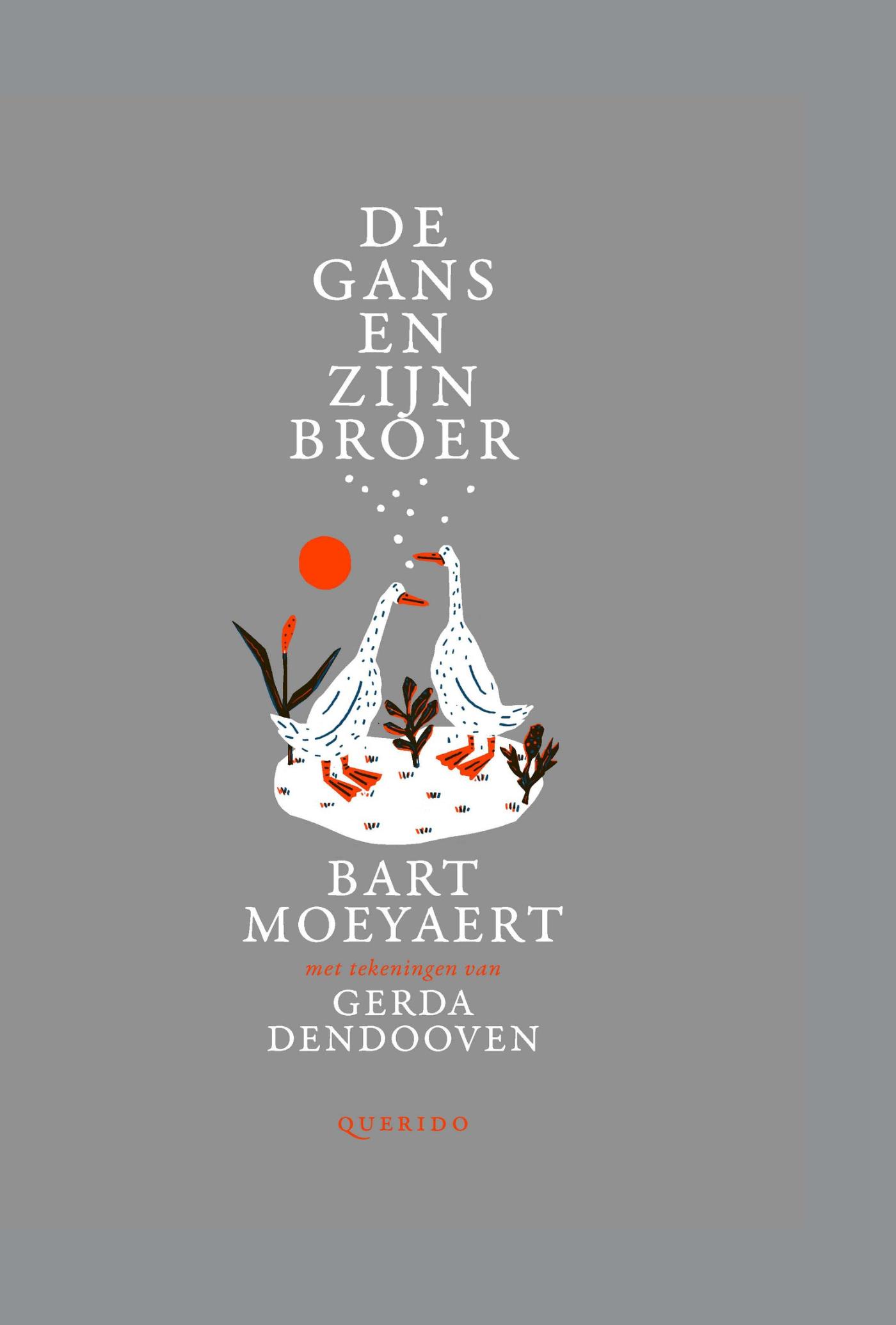Cover van De gans en zijn broer