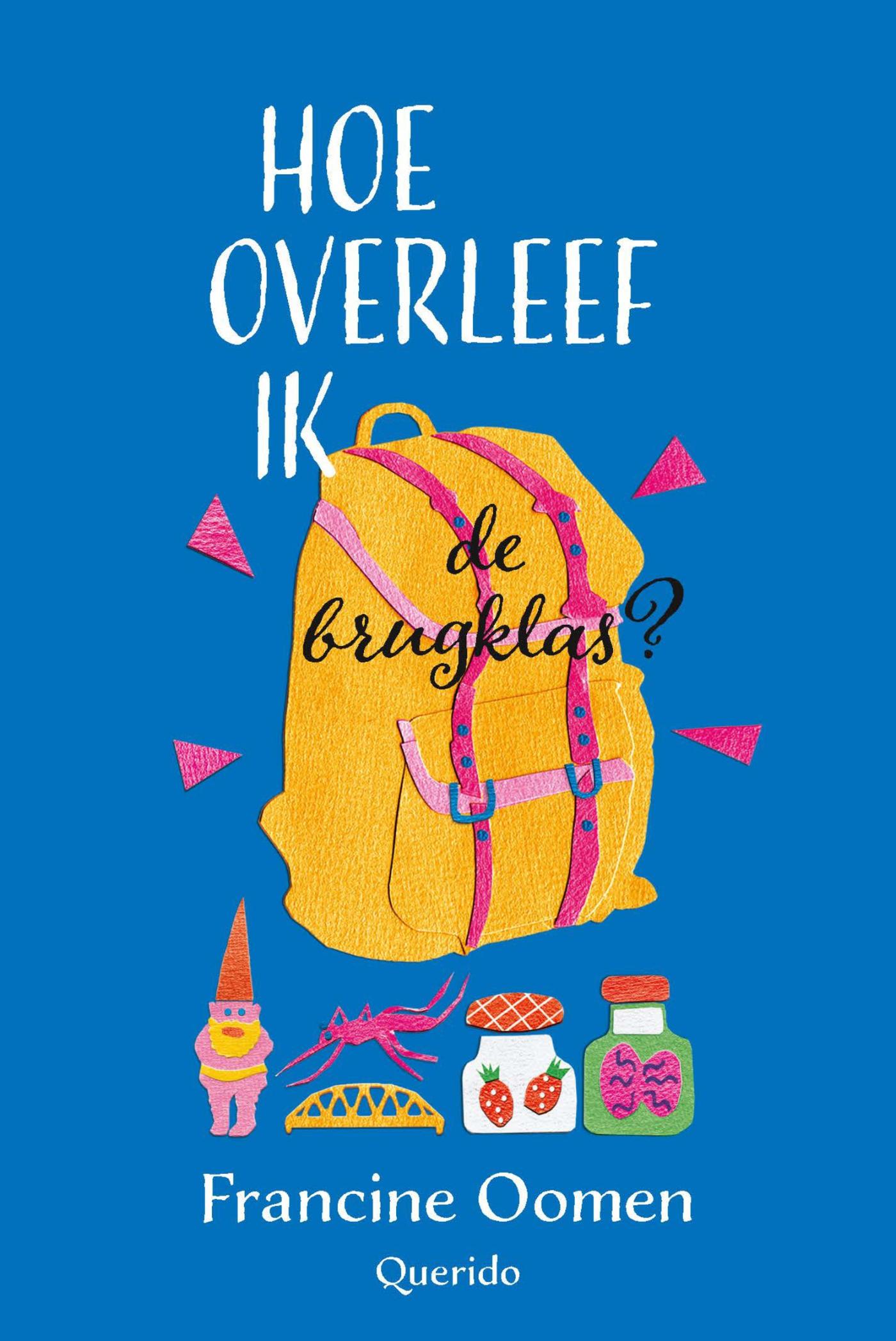 Cover van Hoe overleef ik de brugklas?