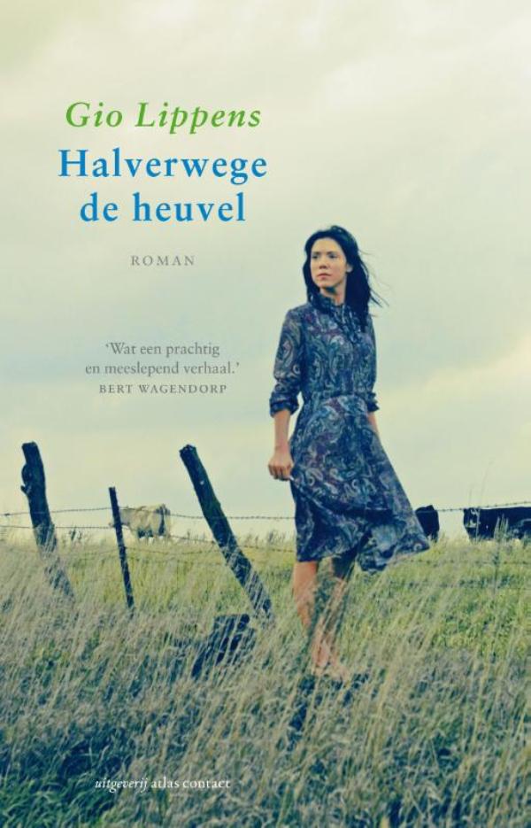 Cover van Halverwege de heuvel : roman