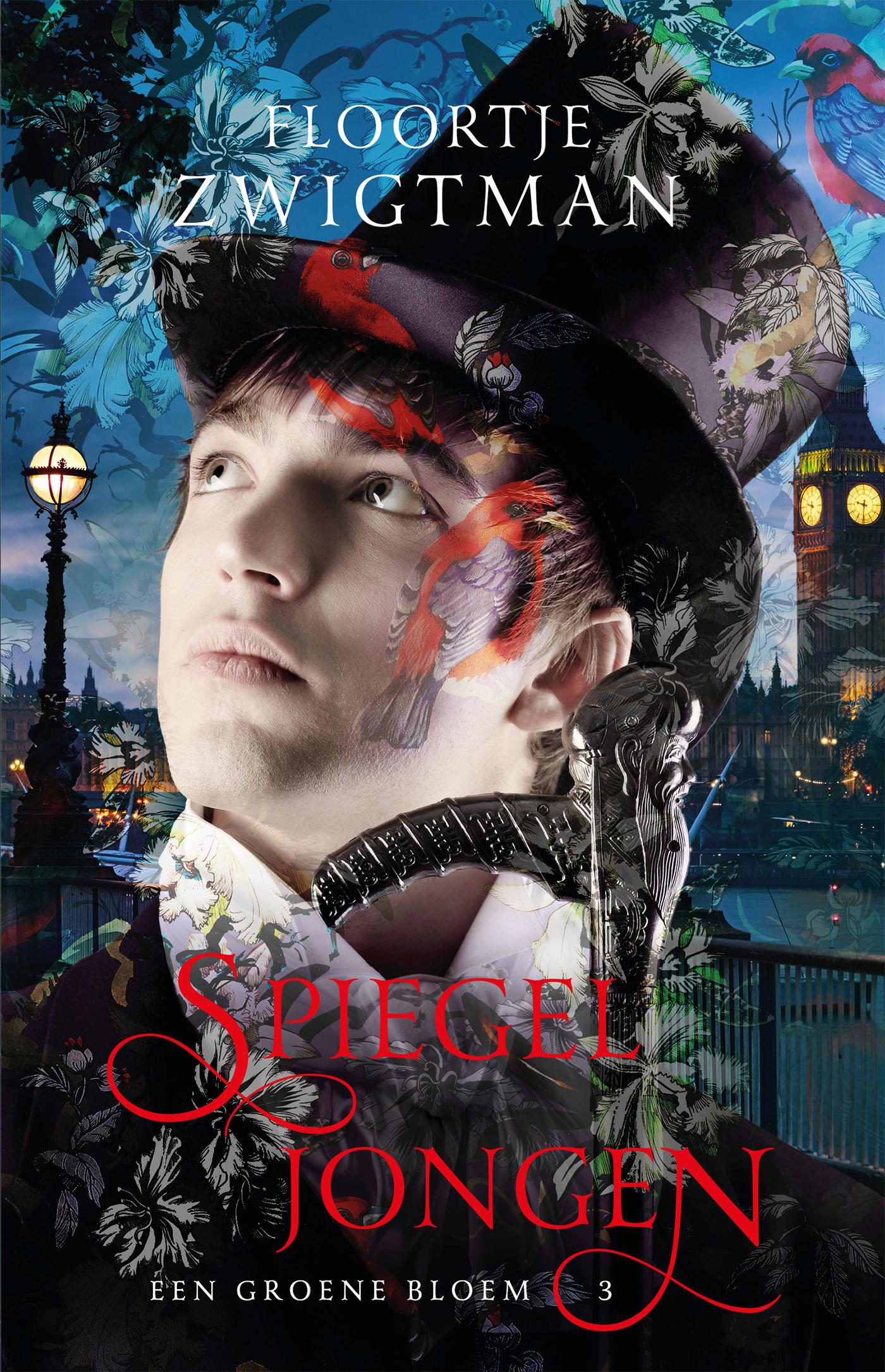 Cover van Spiegeljongen