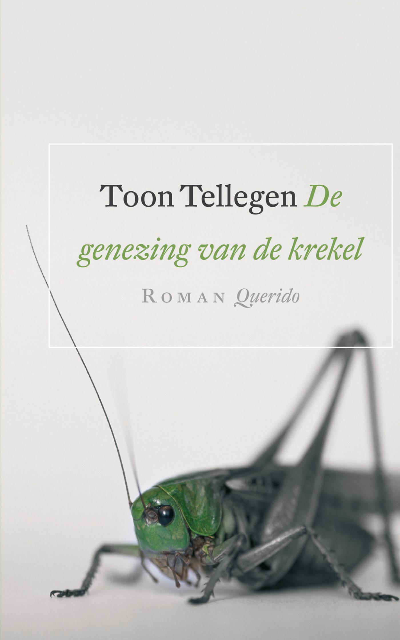 Cover van De genezing van de krekel