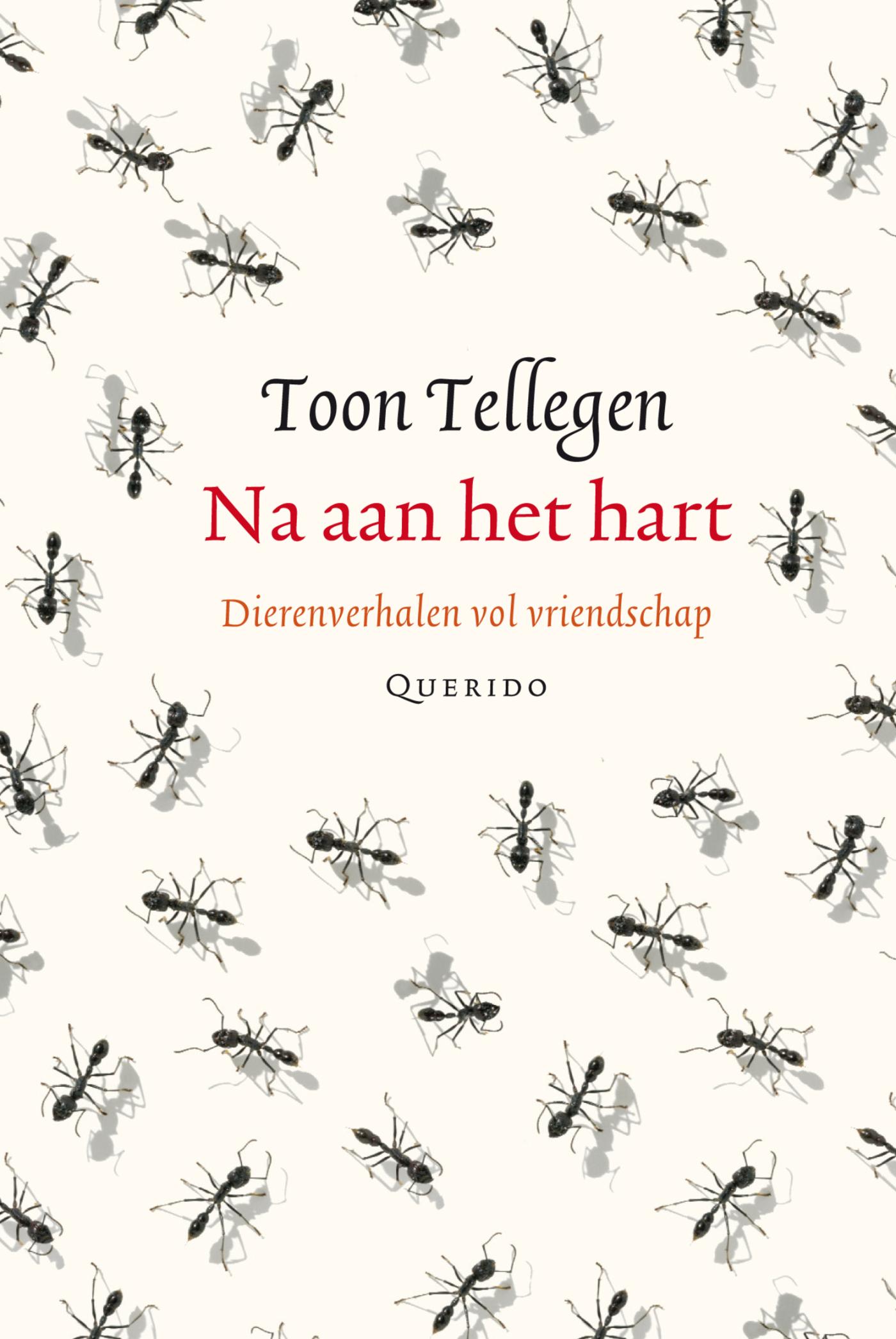 Cover van Na aan het hart : dierenverhalen vol vriendschap