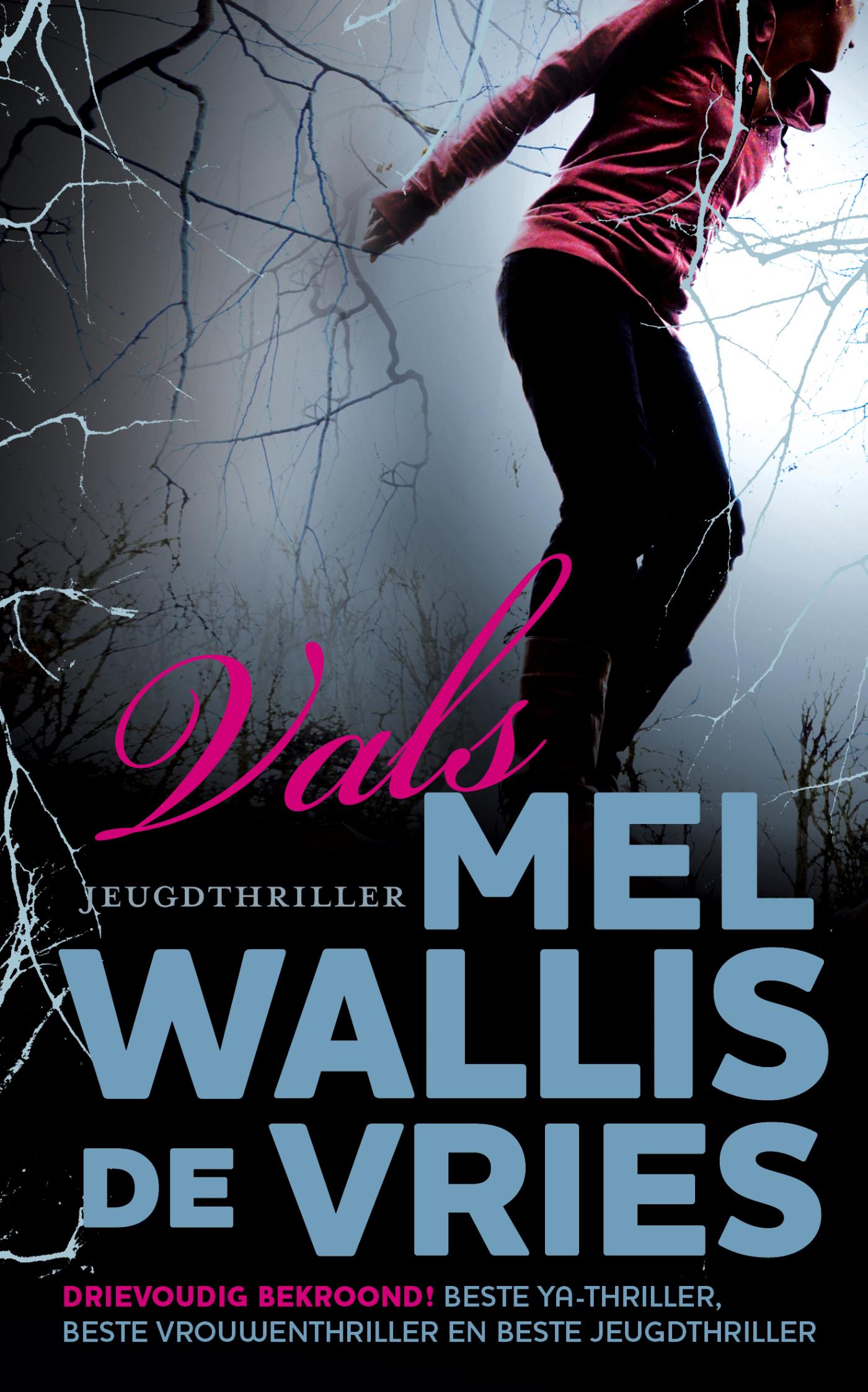 Cover van Vals