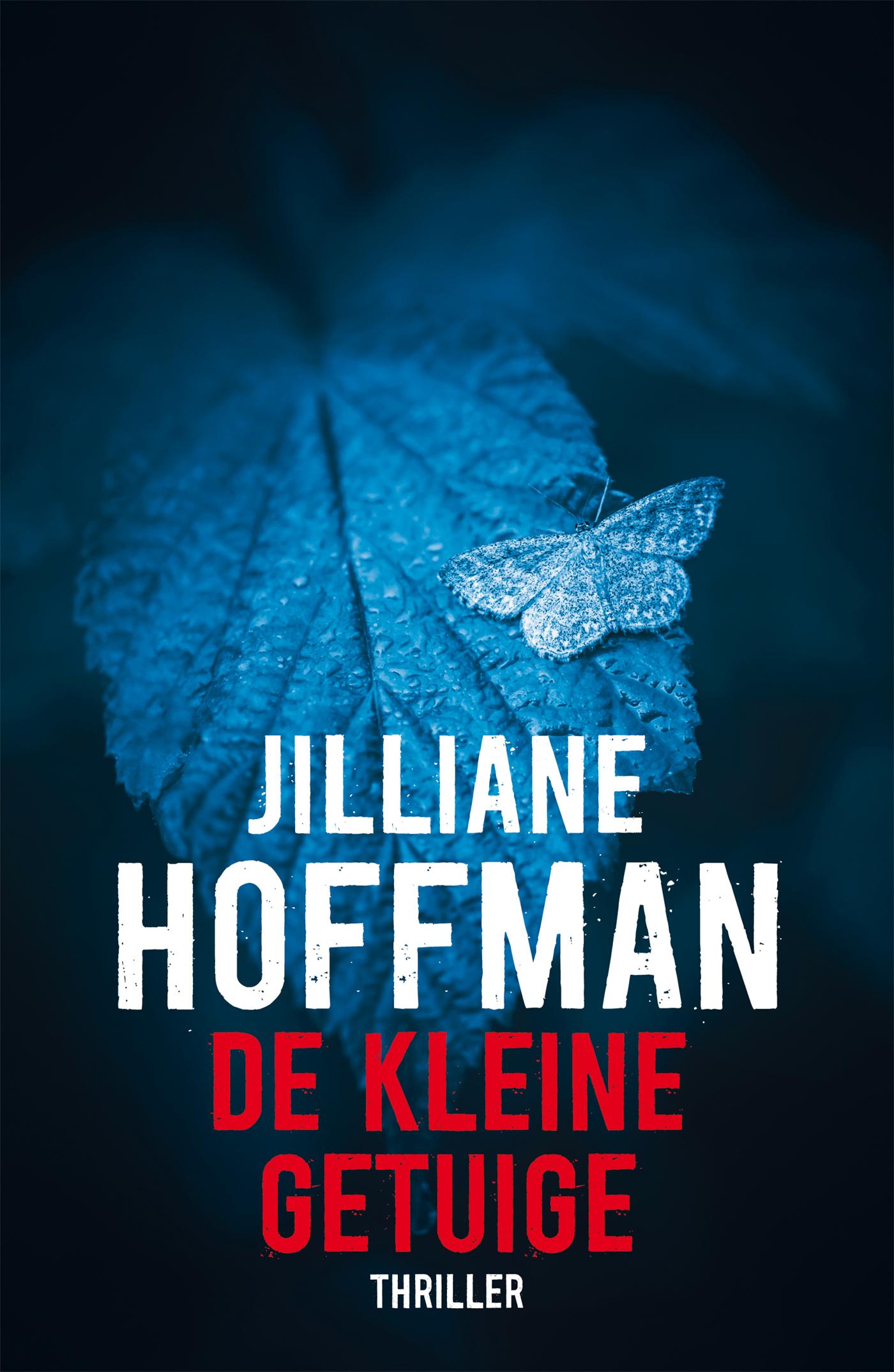 Cover van De kleine getuige