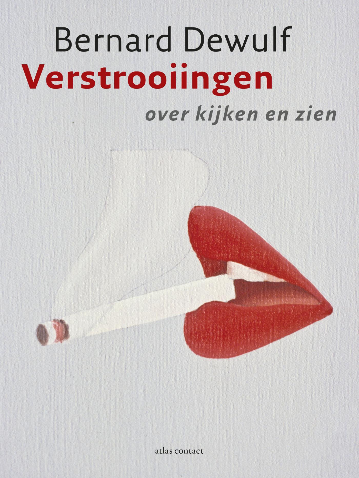 Cover van Verstrooiingen : over kijken en zien