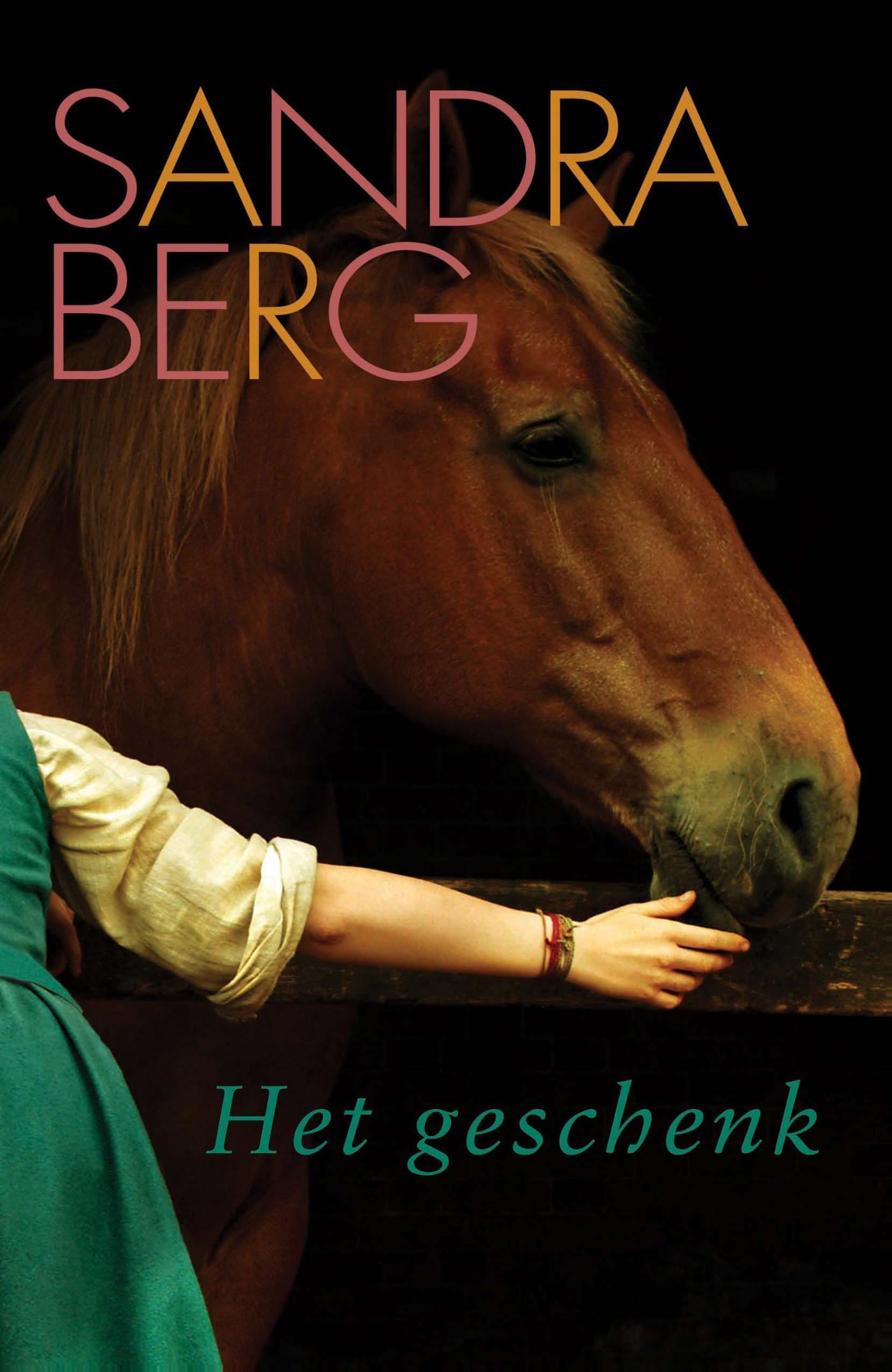 Cover van Het geschenk
