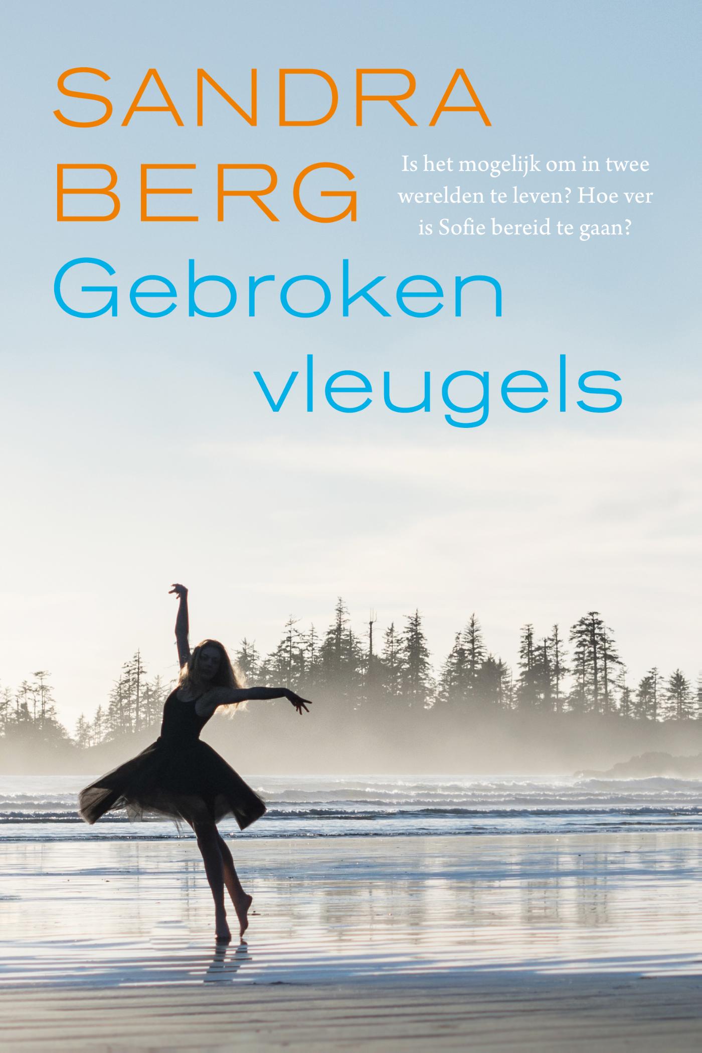 Cover van Gebroken vleugels