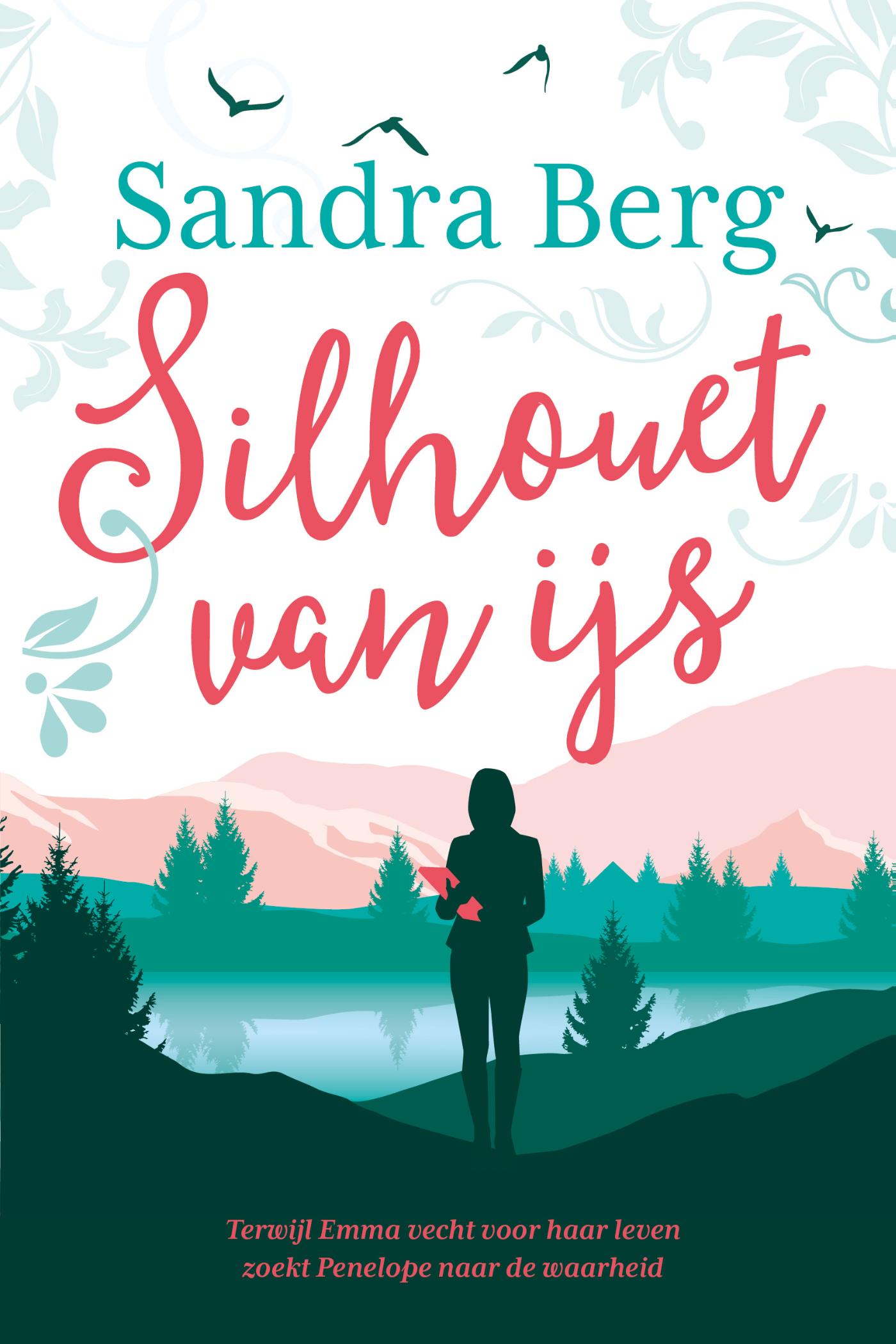Cover van Silhouet van ijs