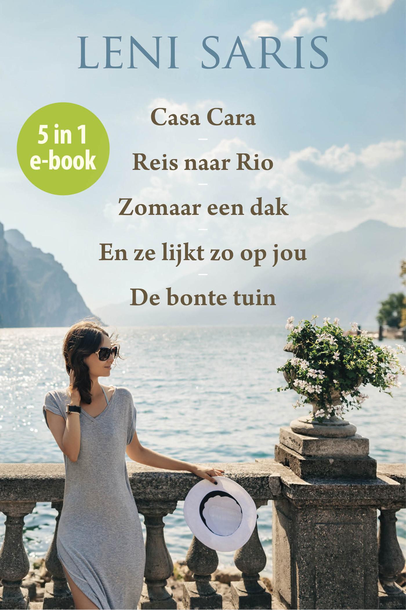 Cover van Romanvijfling
