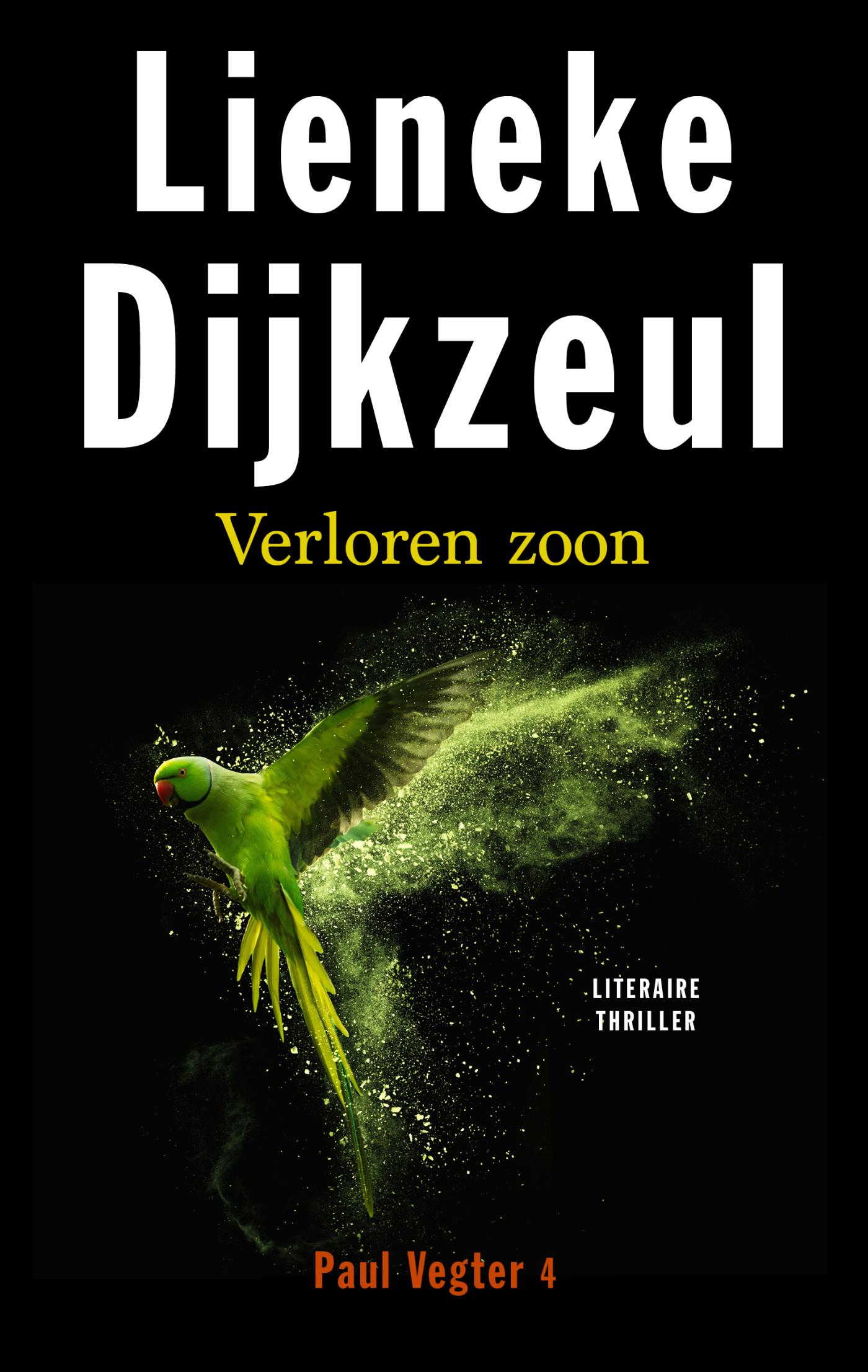 Cover van Verloren zoon