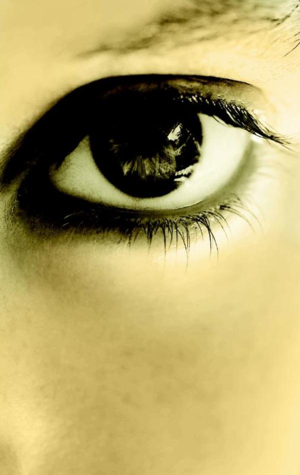 Couverture de Voor ik ga slapen