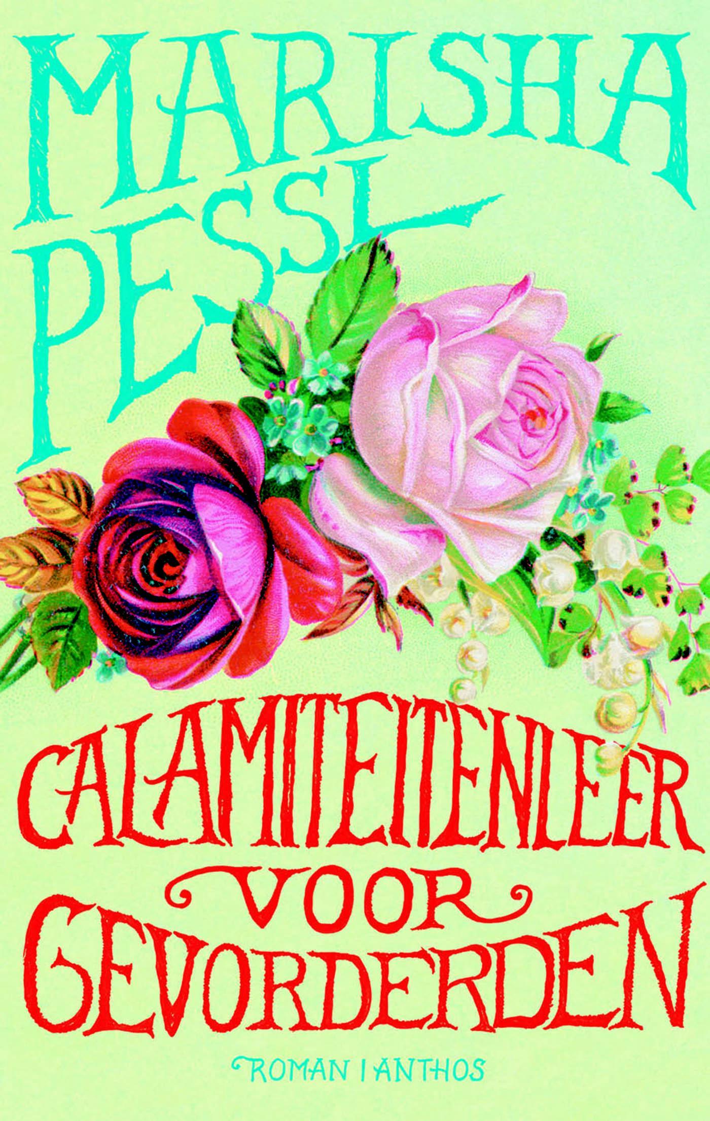 Cover van Calamiteitenleer voor gevorderden