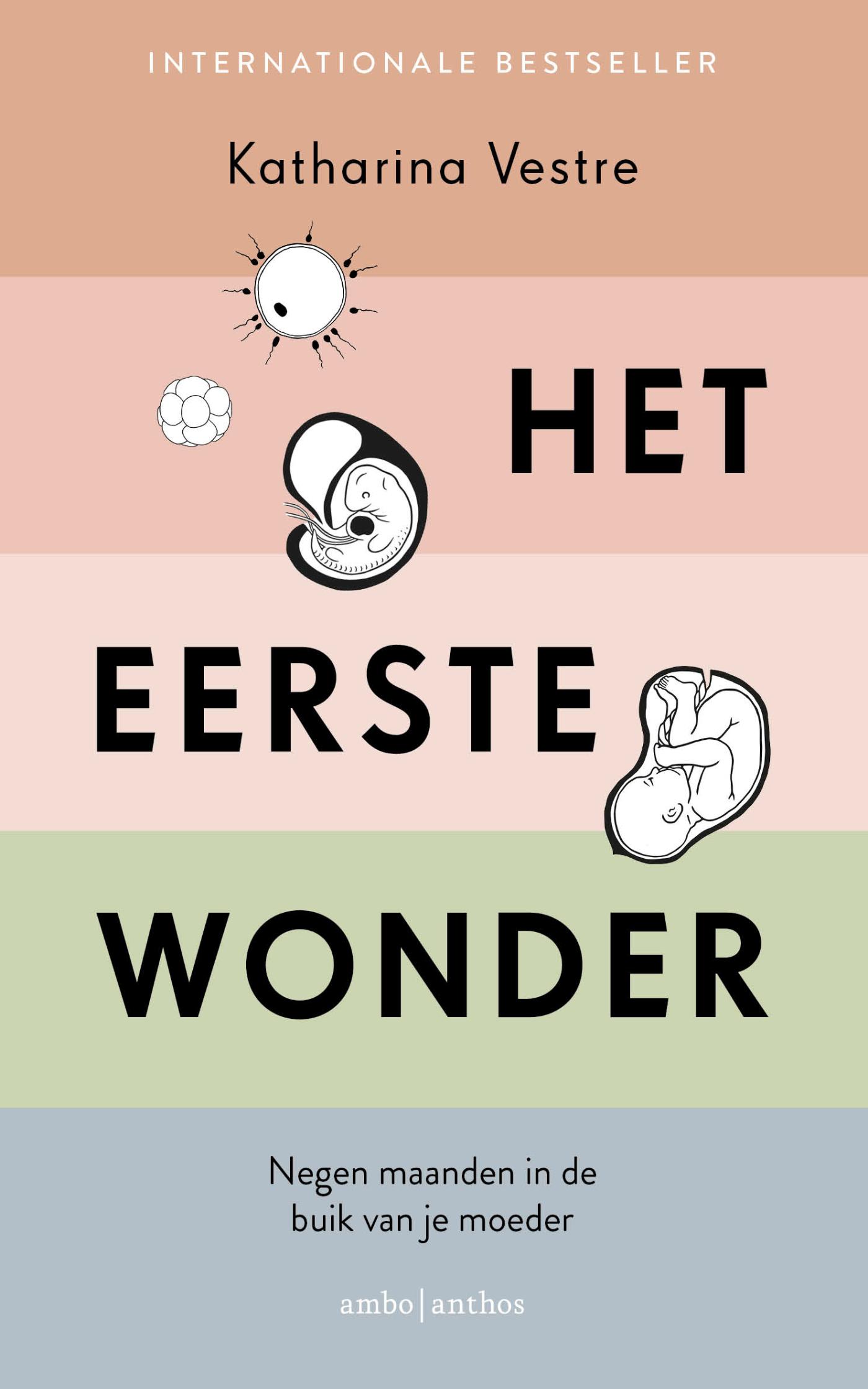 Cover van Het eerste wonder : negen maanden in de buik van je moeder