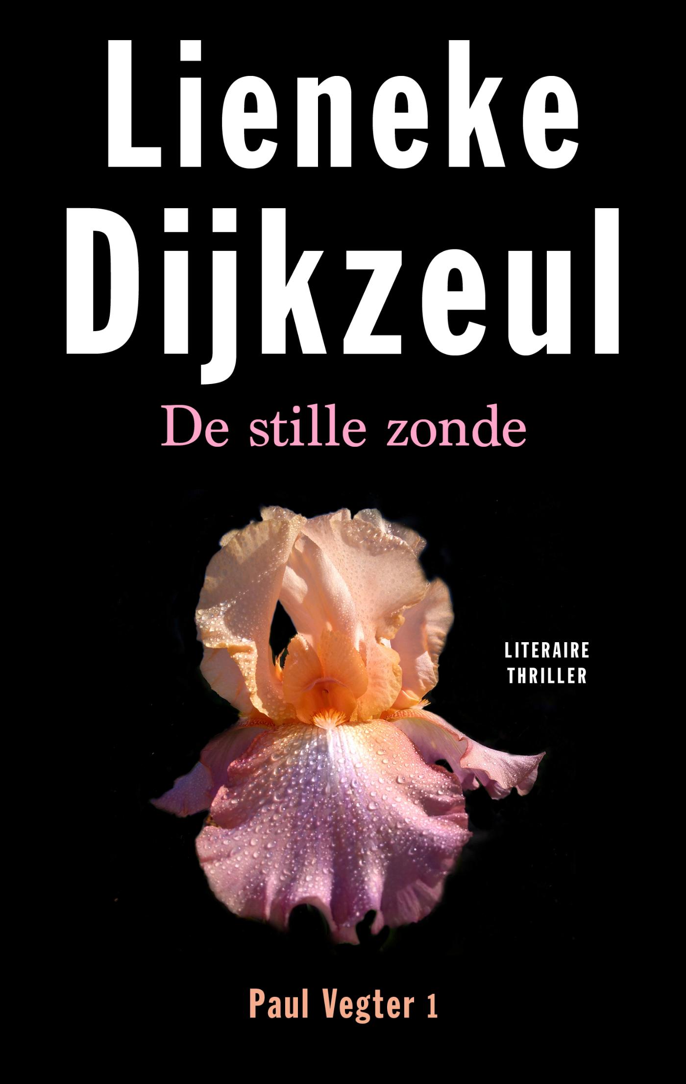 Cover van De stille zonde
