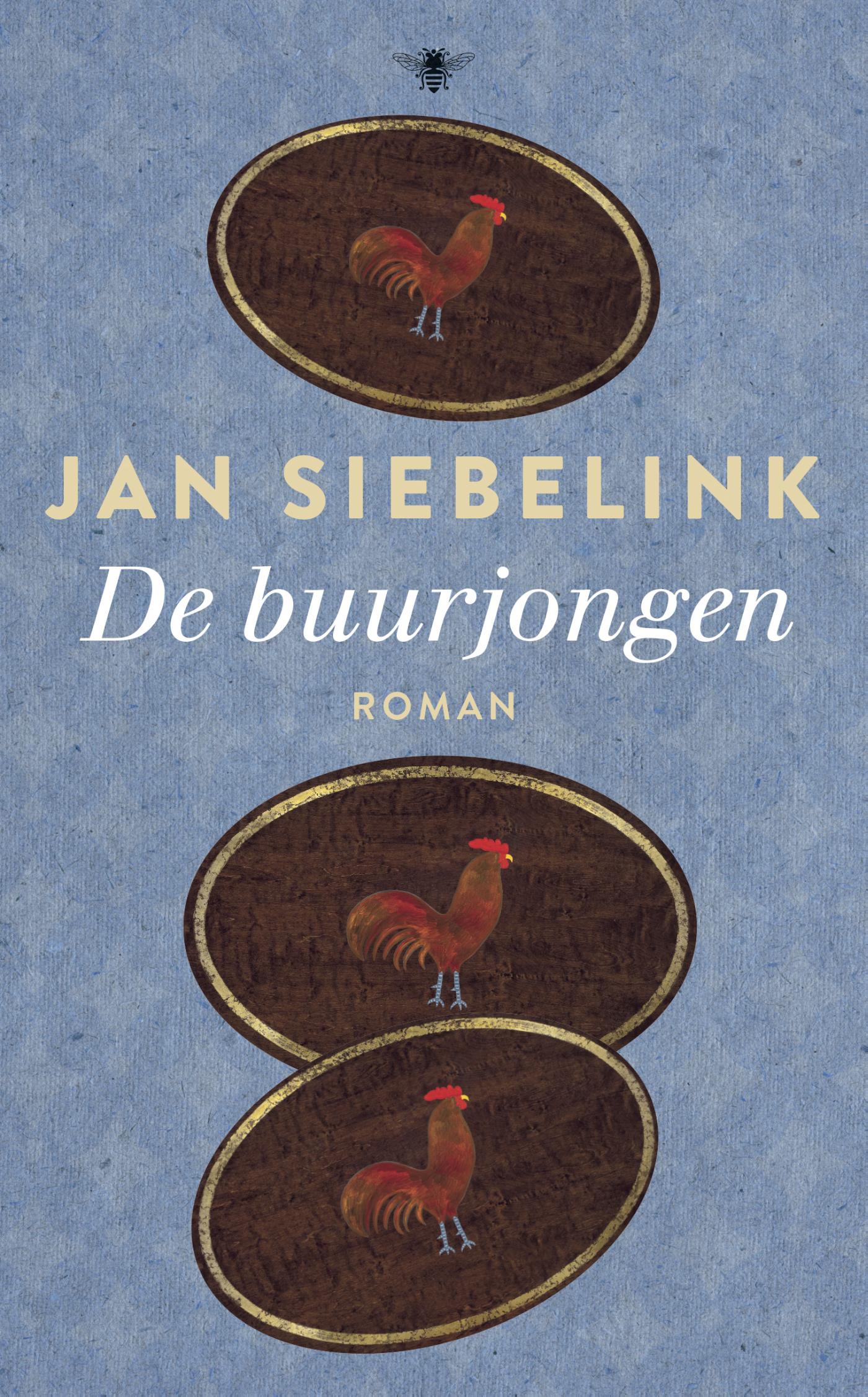Cover van De buurjongen : roman