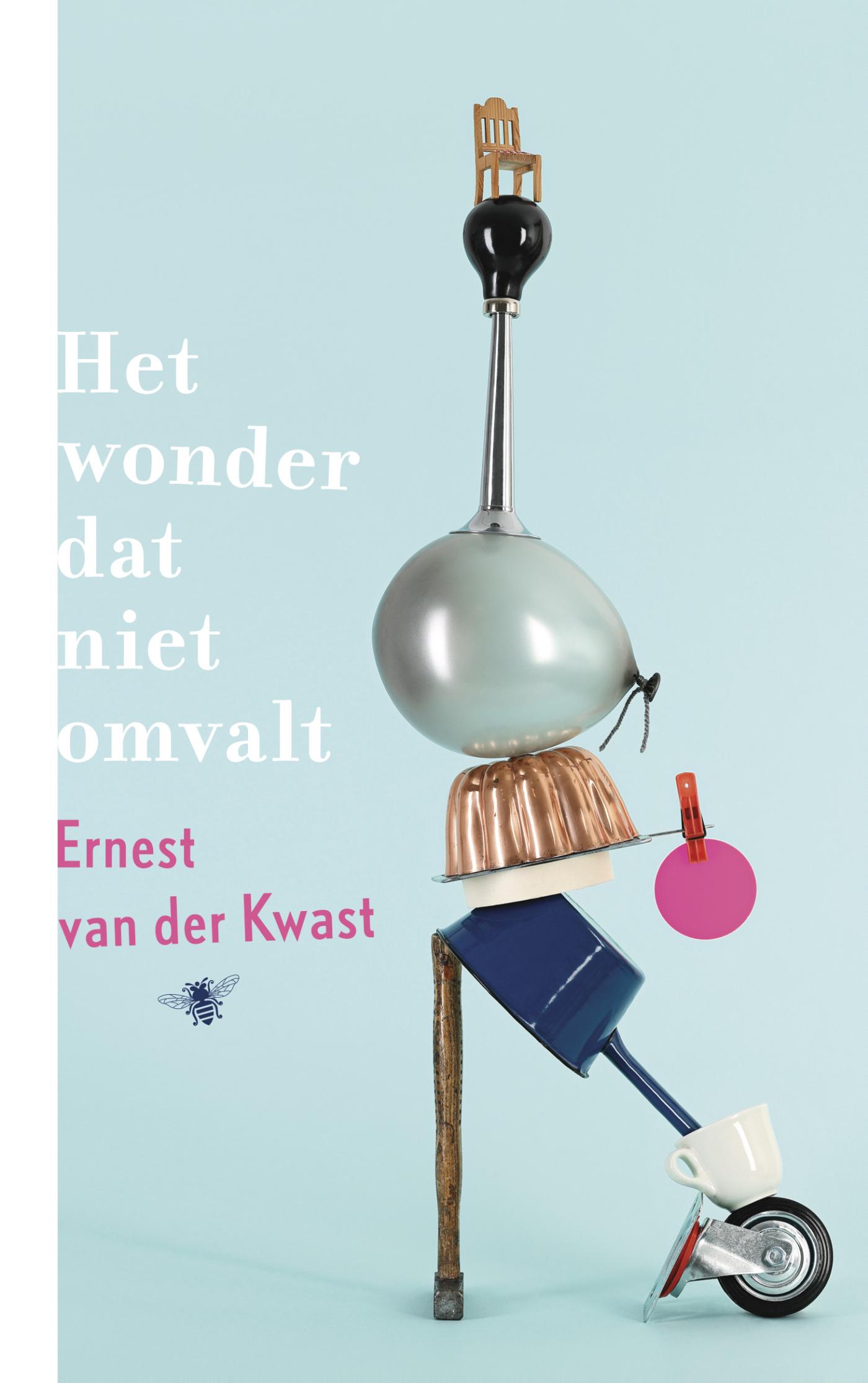 Cover van Het wonder dat niet omvalt