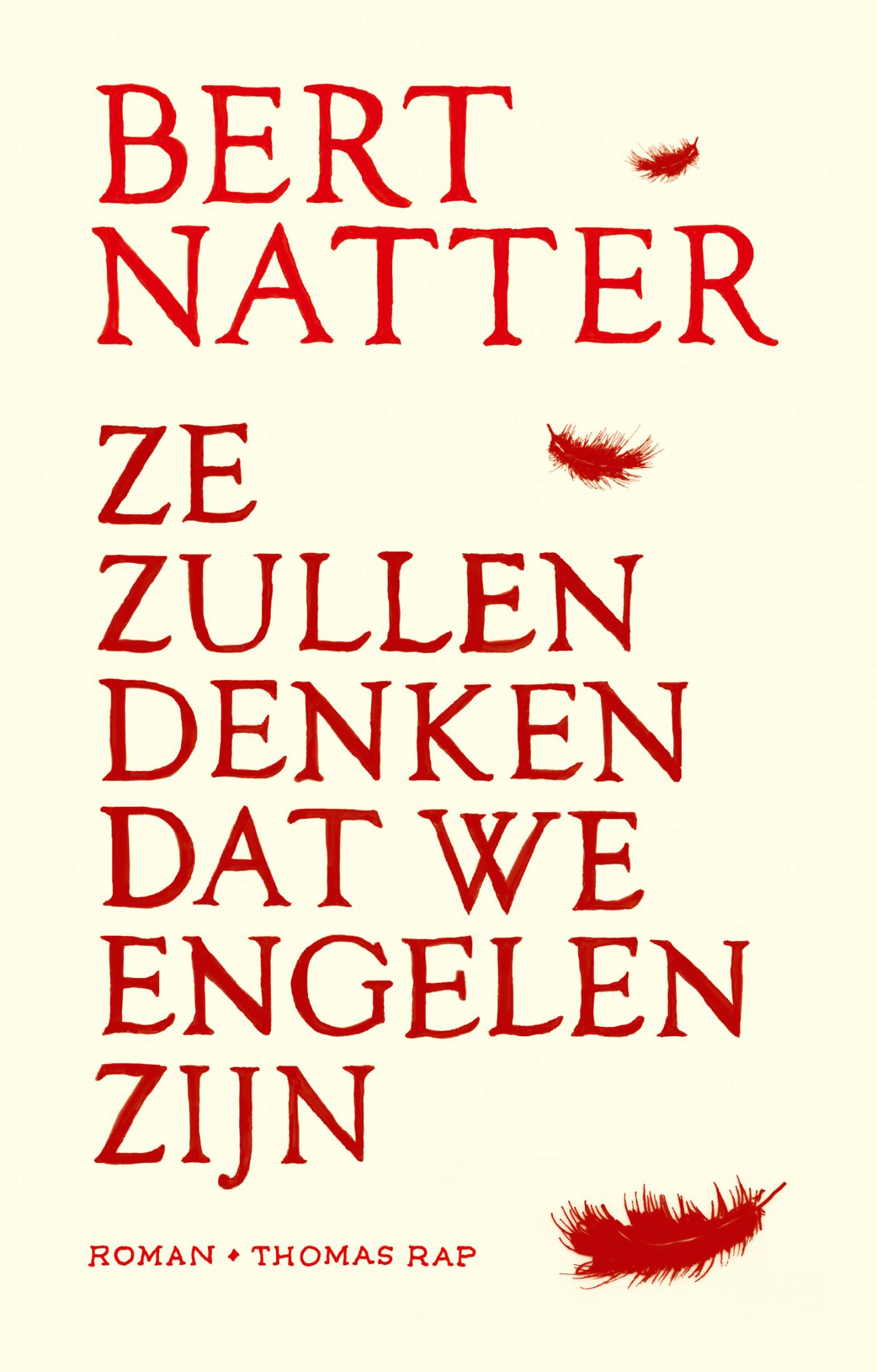 Couverture de Ze zullen denken dat we engelen zijn