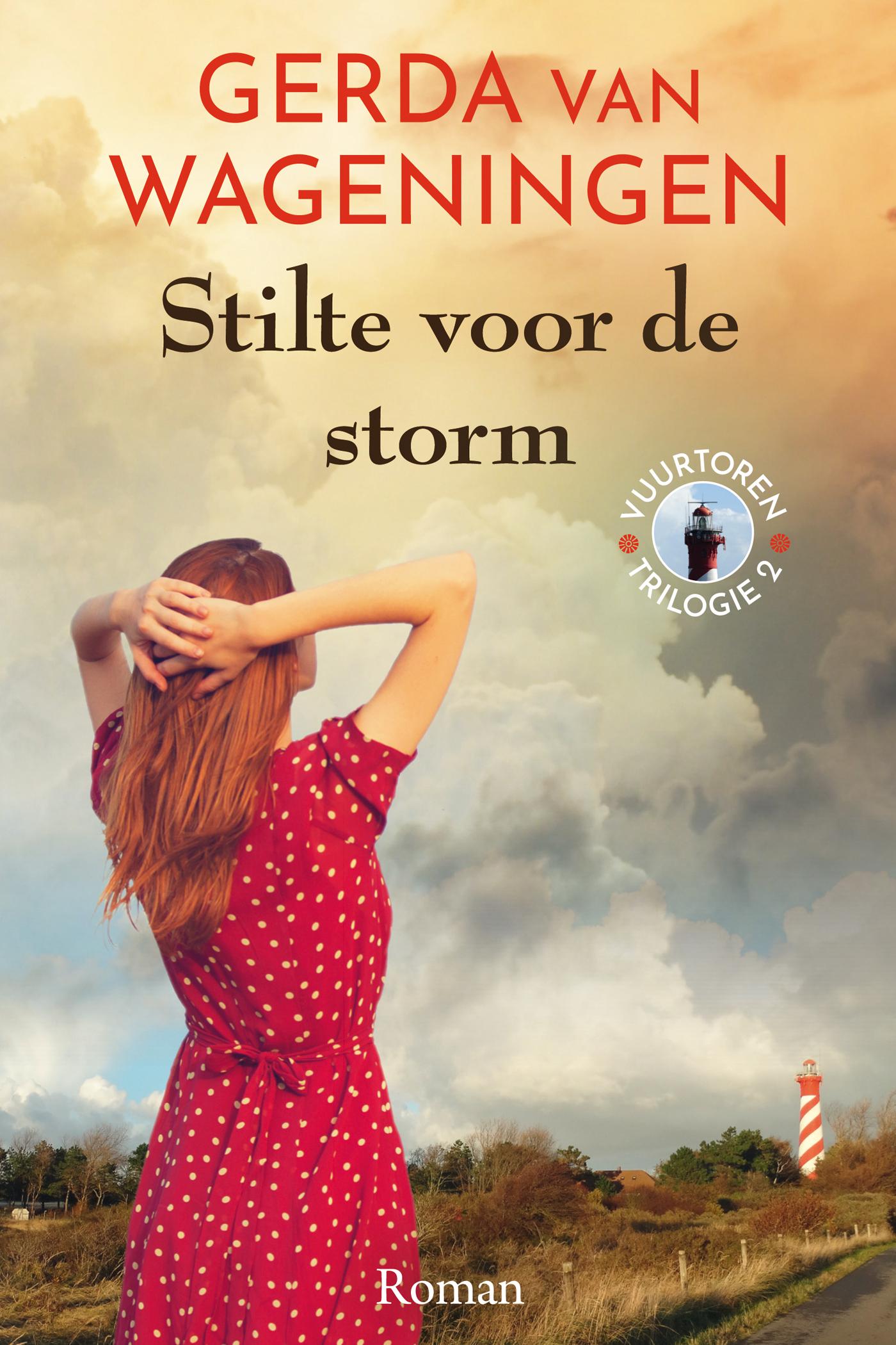 Cover van Stilte voor de storm