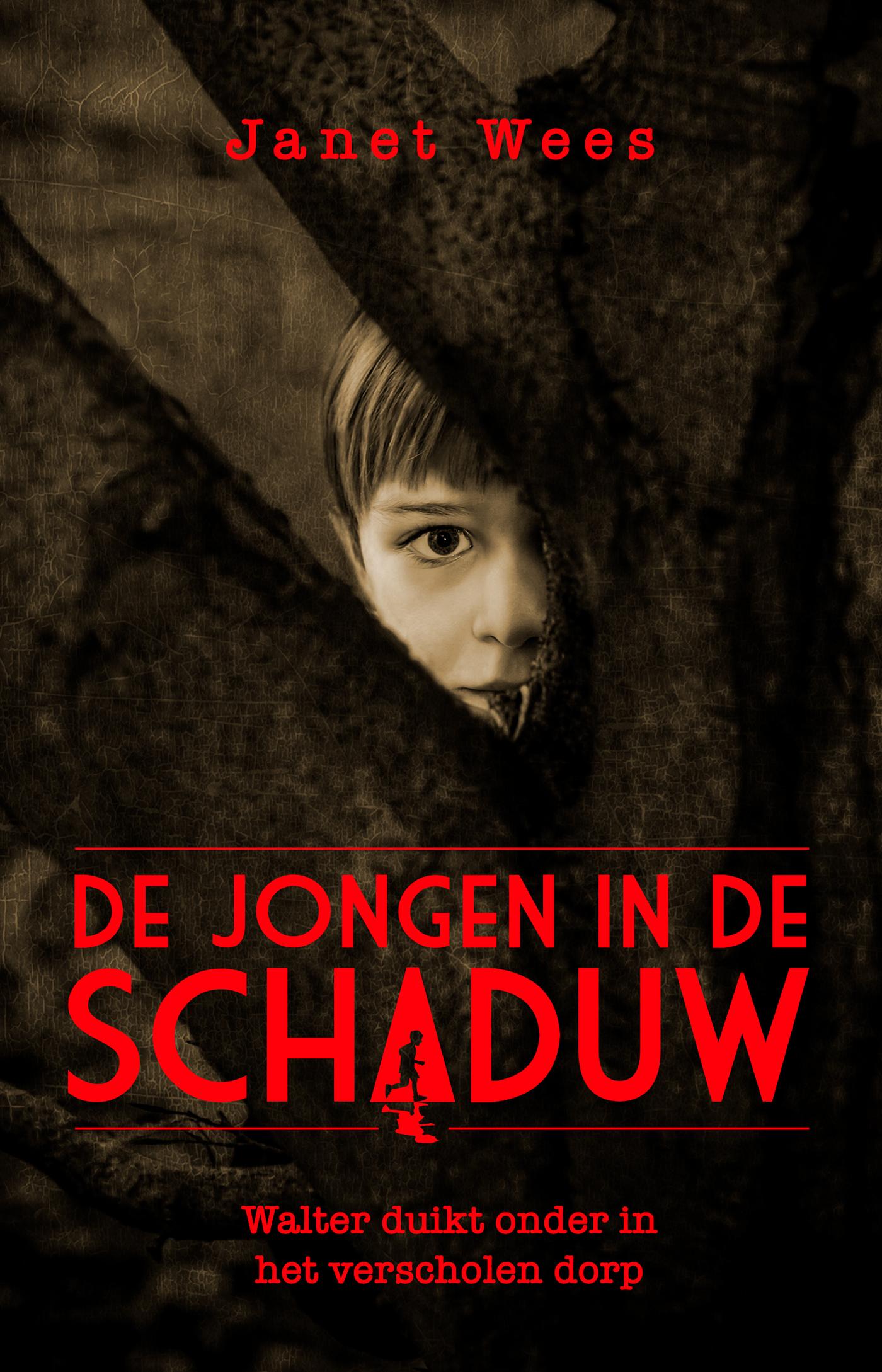 Cover van De jongen in de schaduw : Walter duikt onder in het Verscholen Dorp