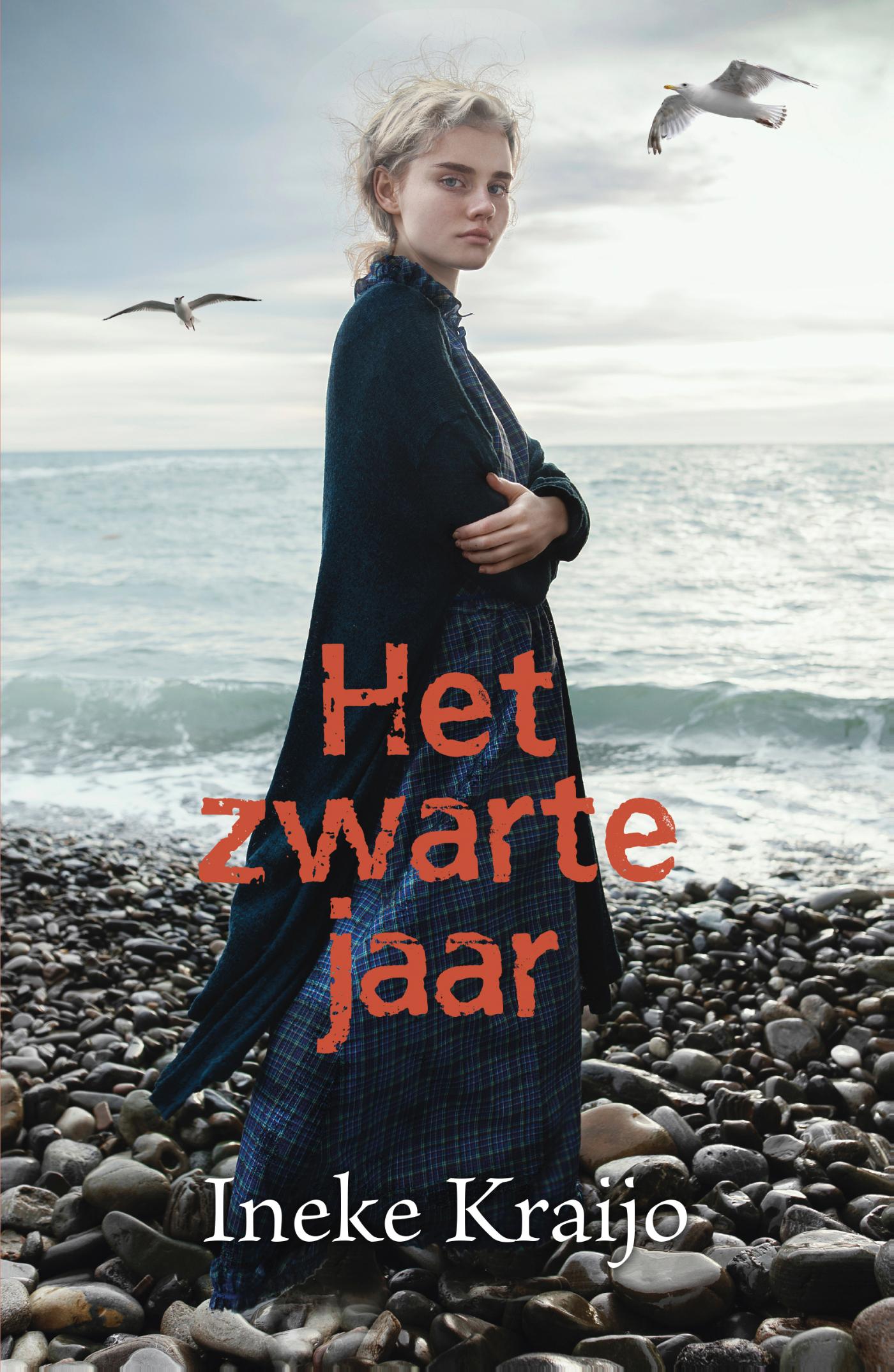 Cover van Het zwarte jaar