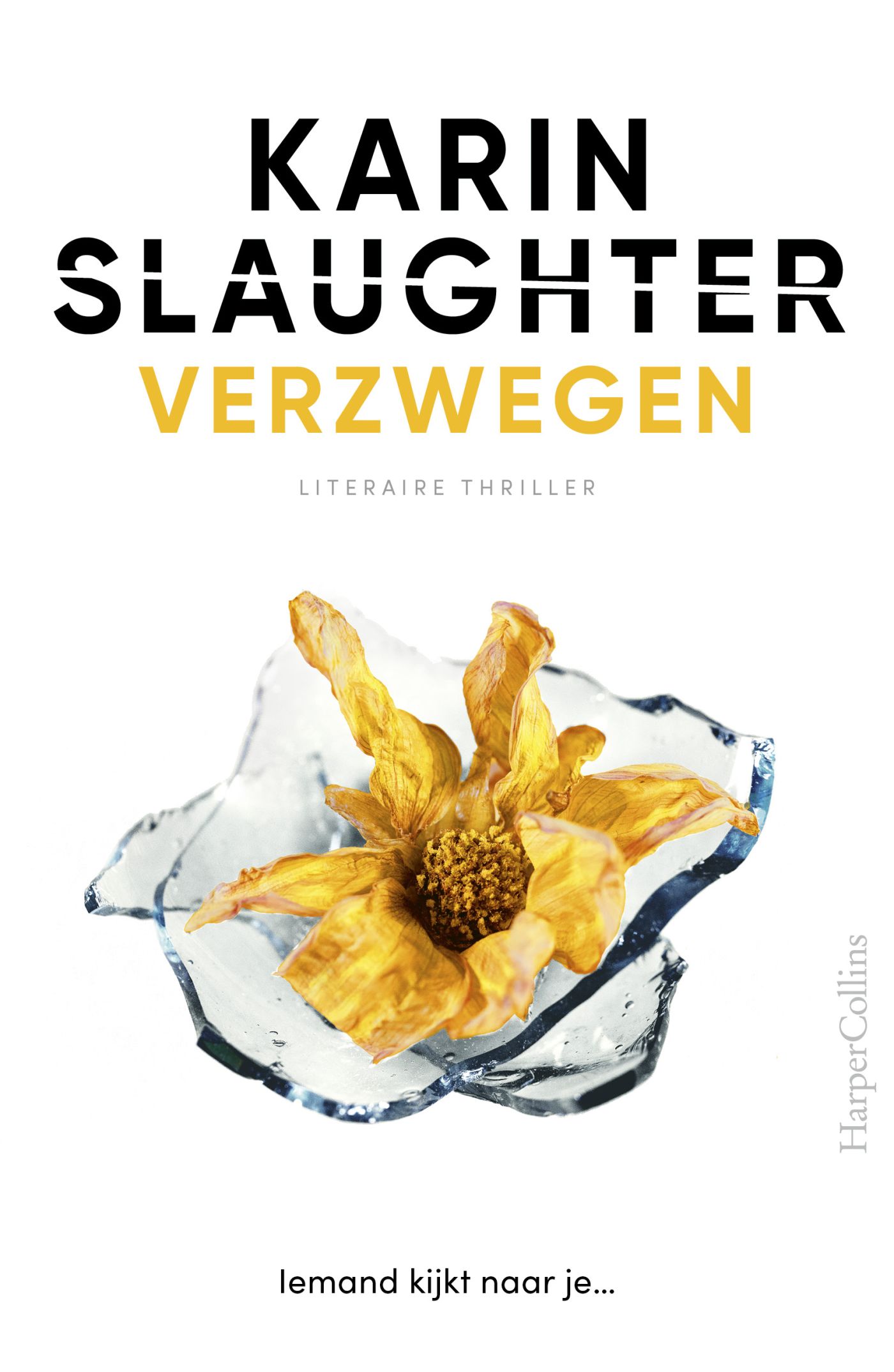 Cover van Verzwegen