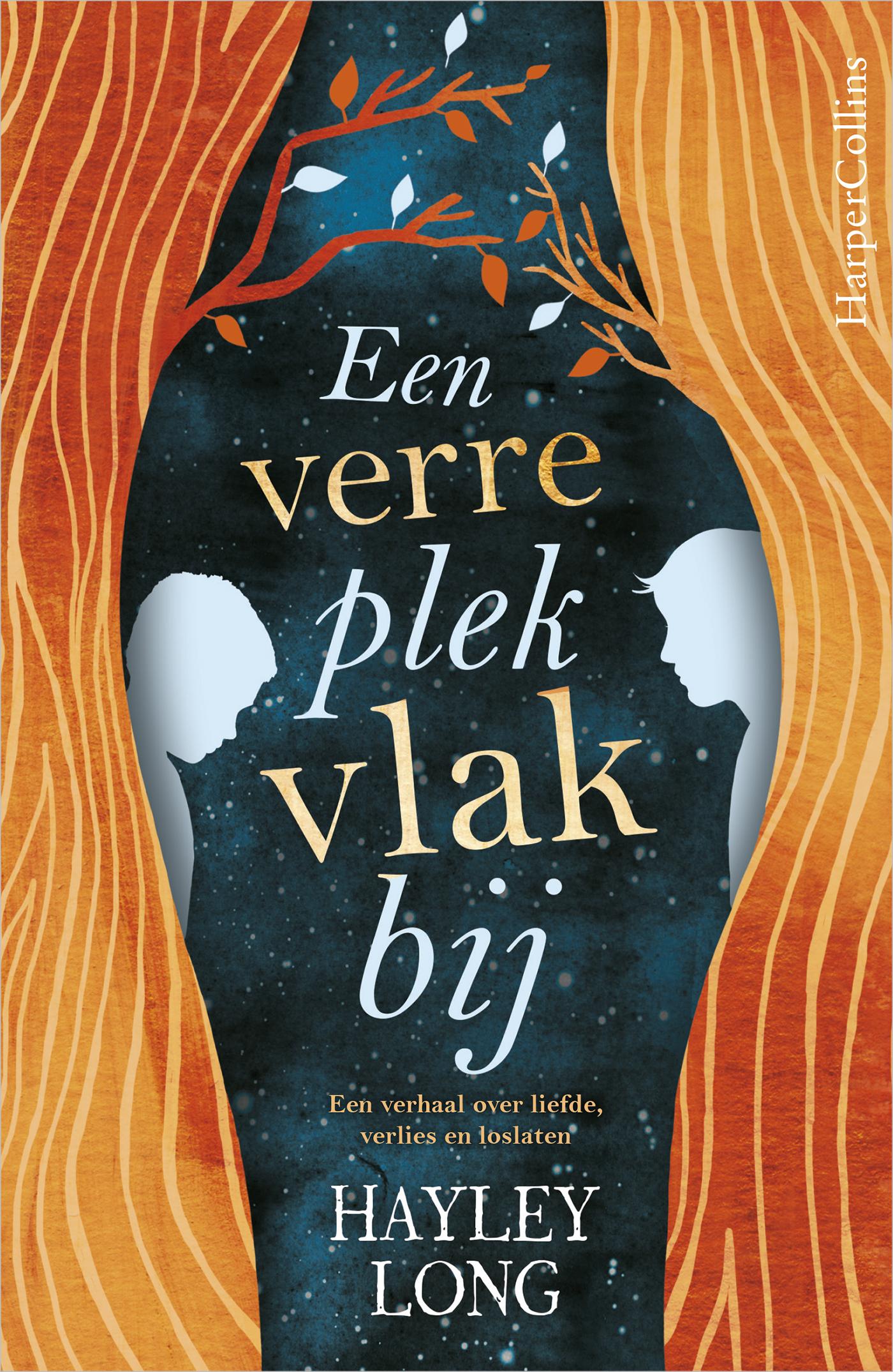 Cover van Een verre plek vlakbij