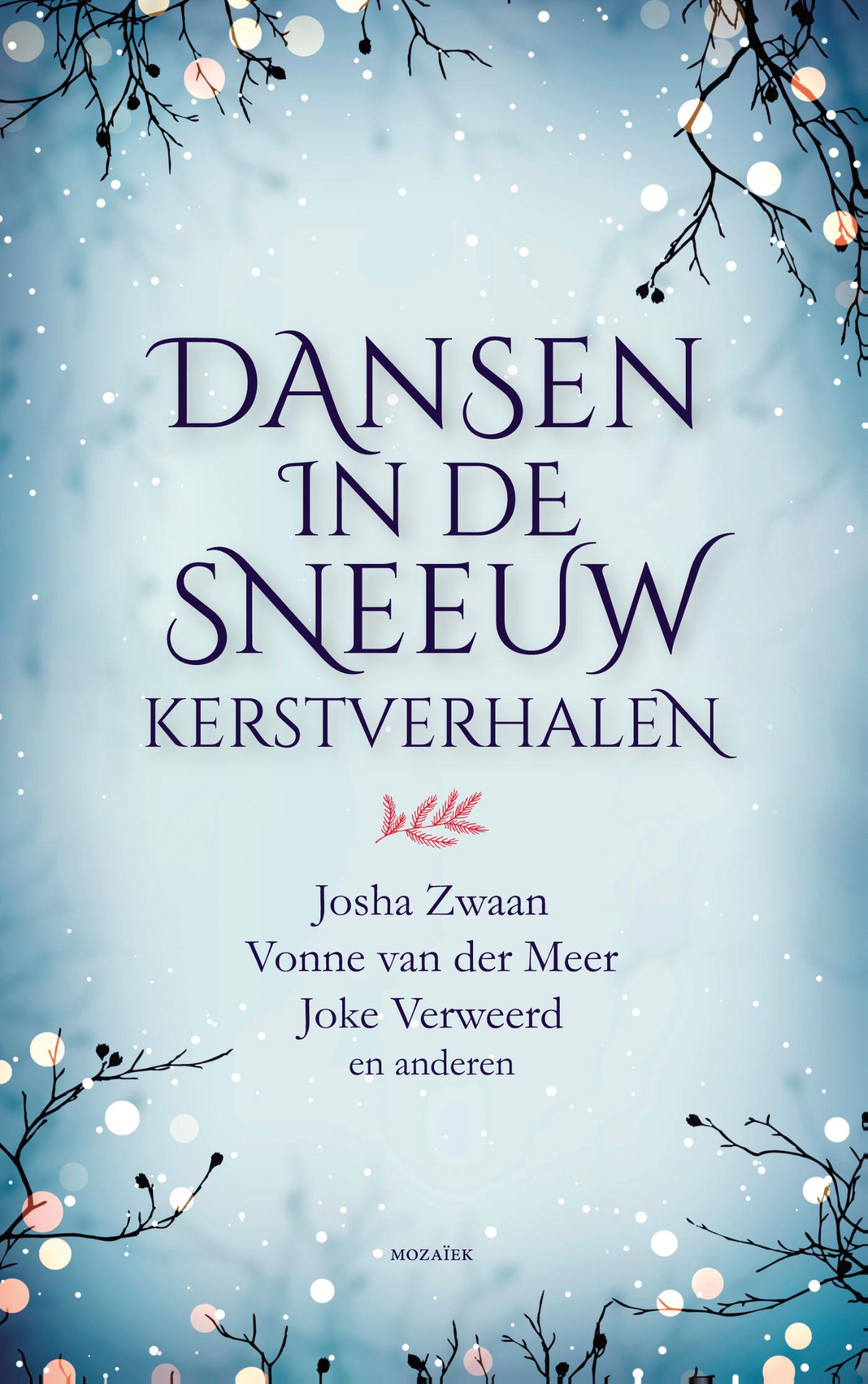 Cover van Dansen in de sneeuw : kerstverhalen