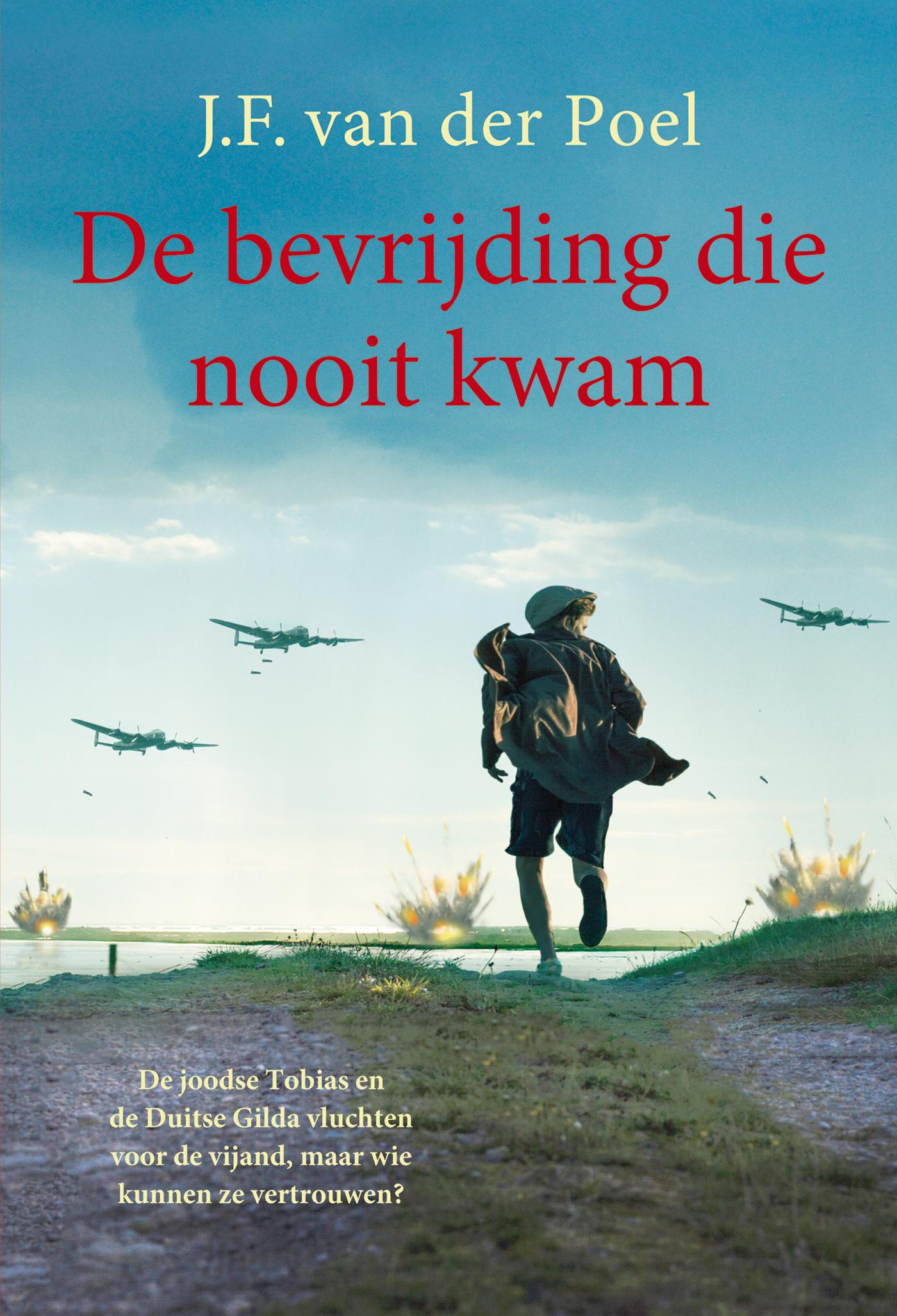 Cover van De bevrijding die nooit kwam
