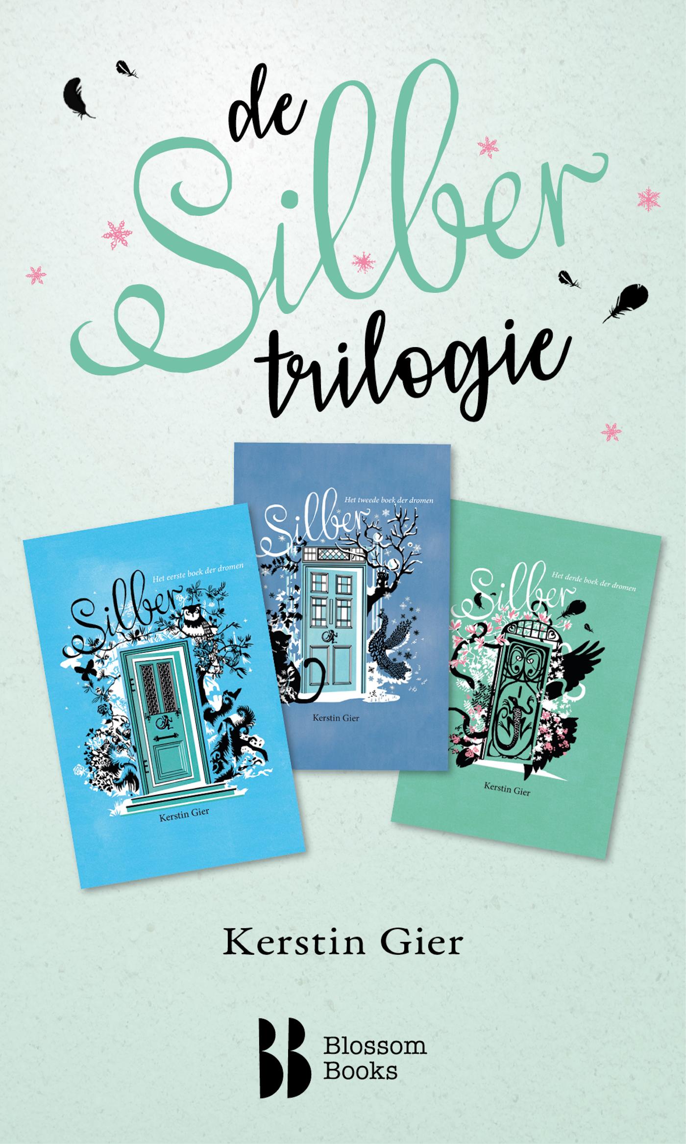 Cover van De Silbertrilogie
