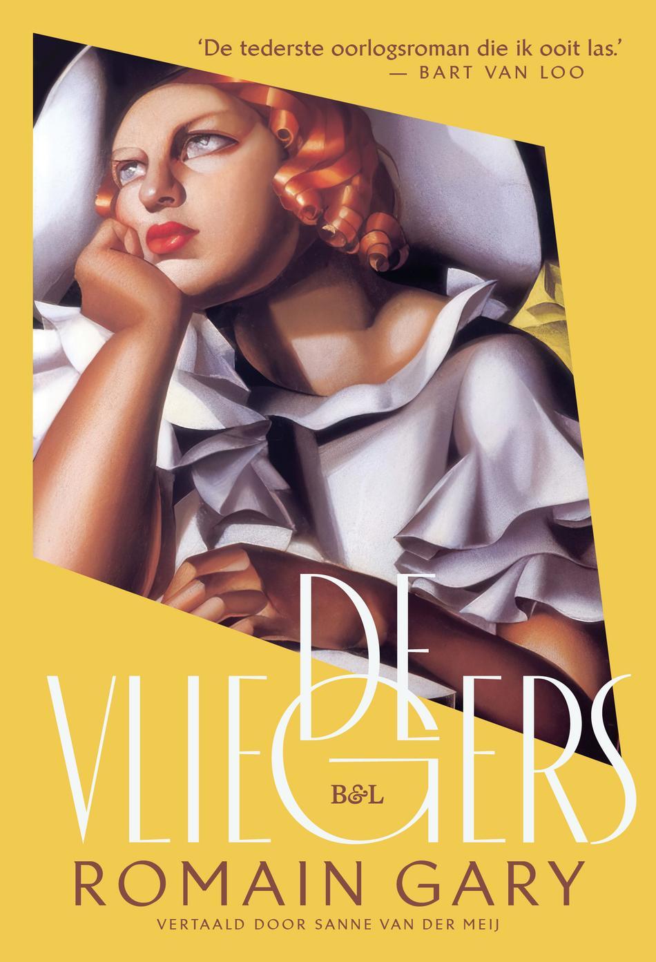 Cover van De vliegers