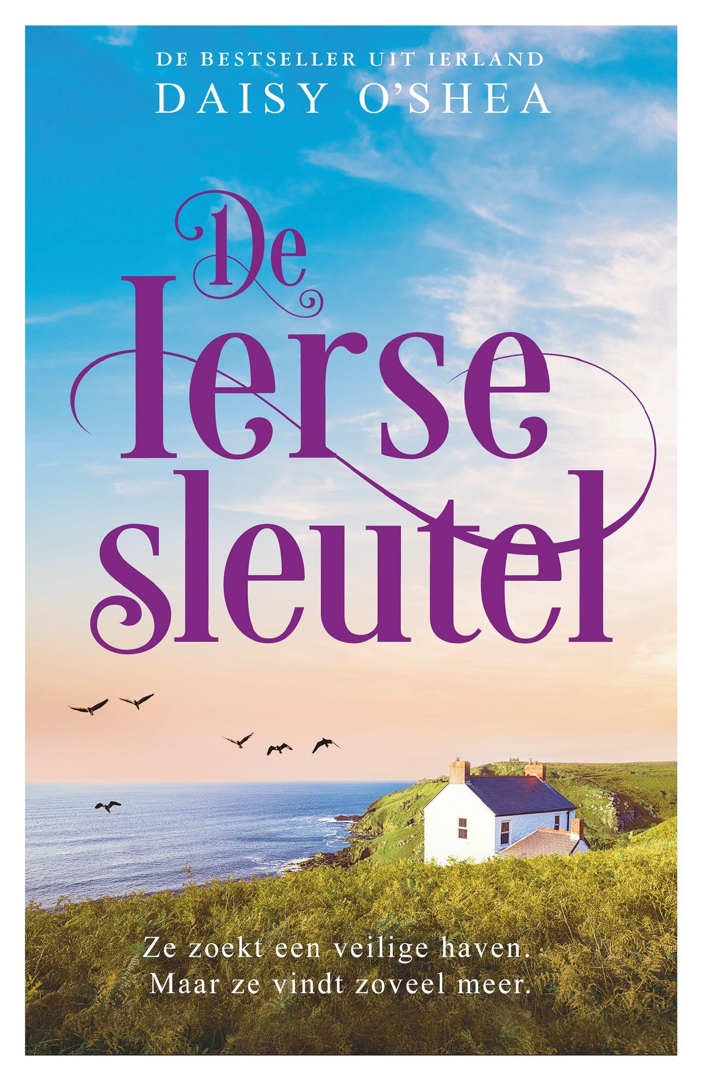 Cover van De Ierse sleutel