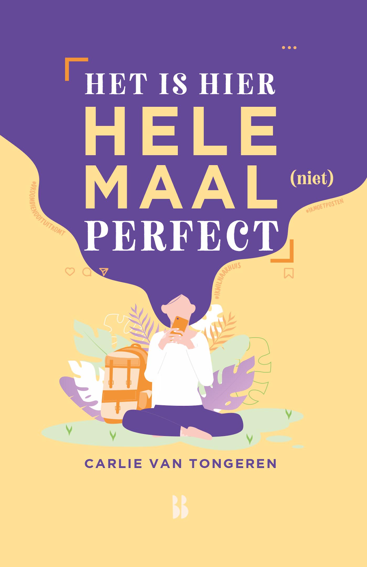 Cover van Het is hier helemaal (niet) perfect