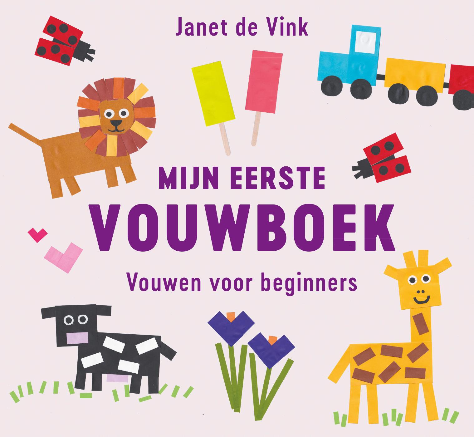 Mijn eerste vouwboek : vouwen voor beginners