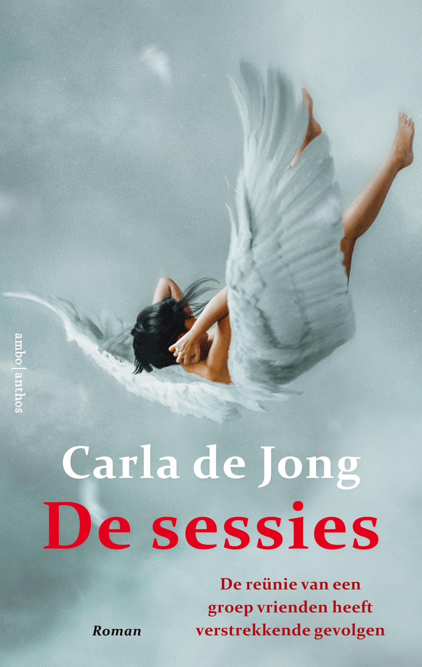 Cover van De sessies