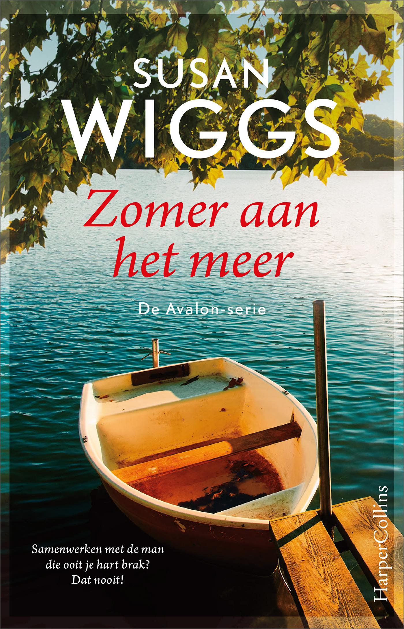 Cover van Zomer aan het meer